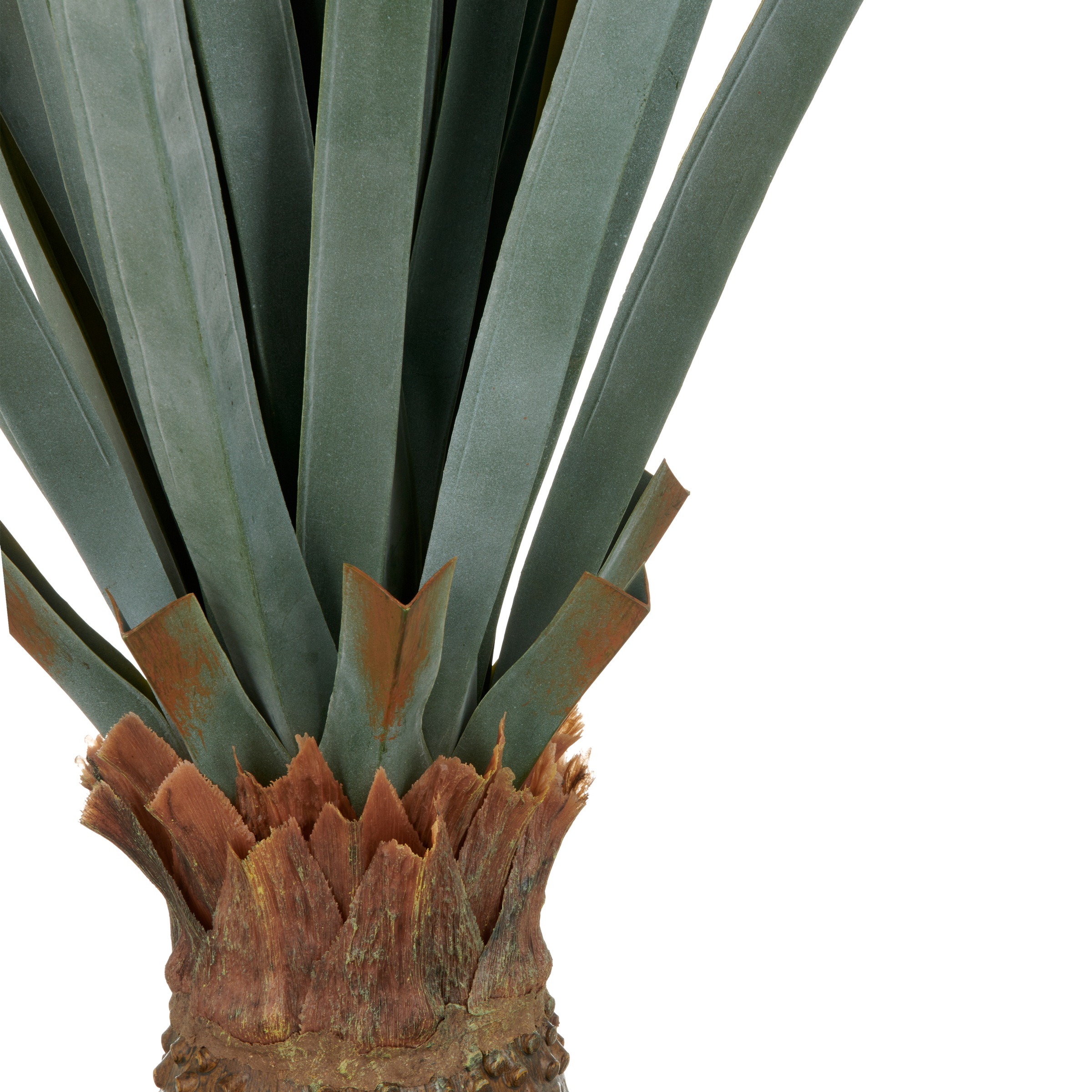 Creativ green Kunstpflanze »Agave angustifolia« in beeindruckender Größe günstig online kaufen
