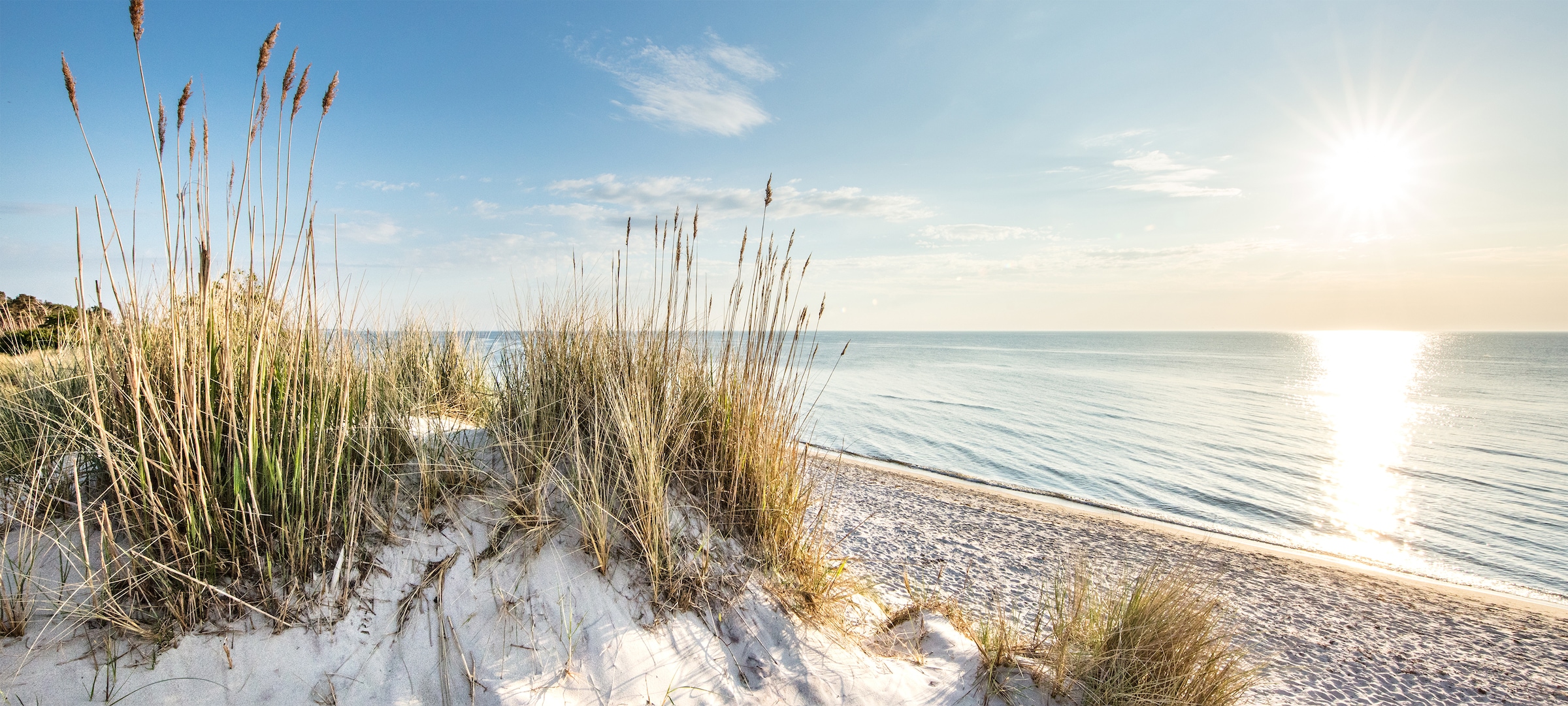 Bönninghoff Leinwandbild, Strand-Düne, (1 St.), BxH: 200x90 cm günstig online kaufen