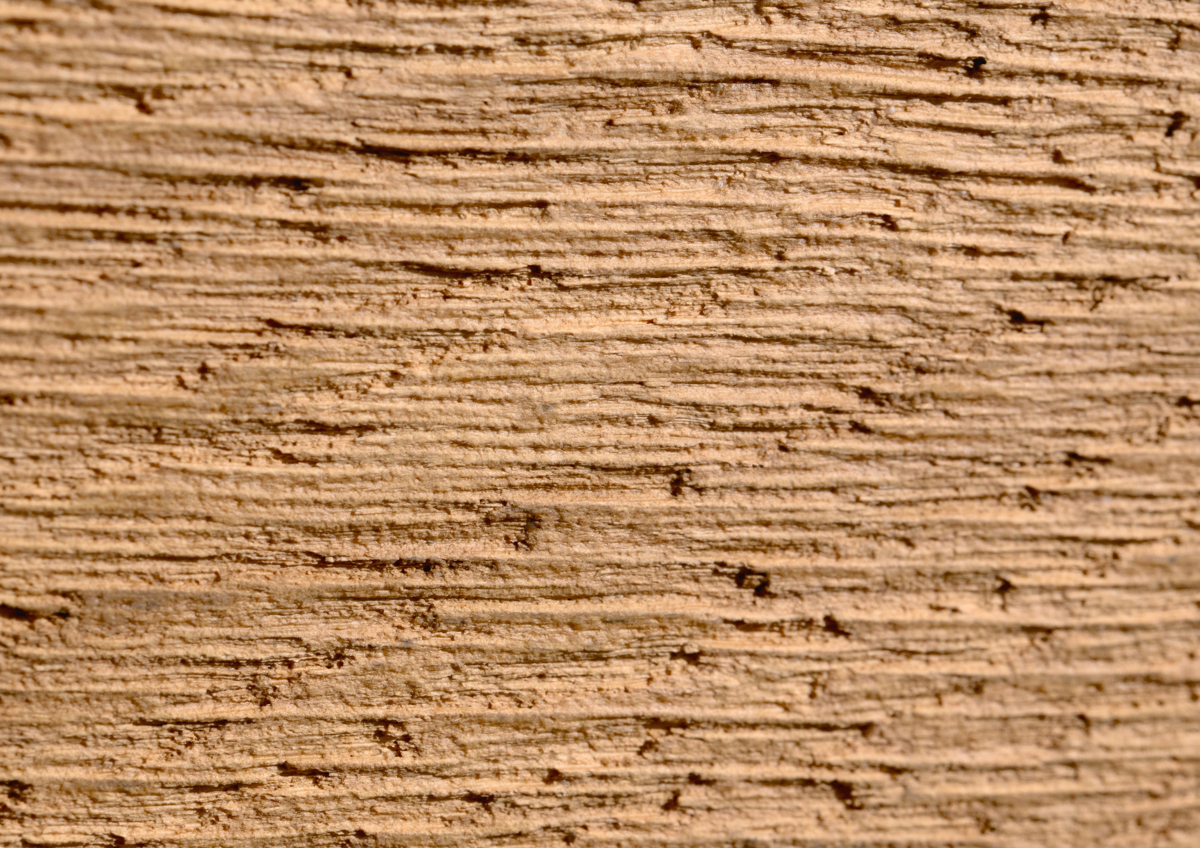 rauch Schwebetürenschrank »Kleiderschrank Schrank Garderobe Schlafzimmerschrank MALVA«, Bauchbinde abgesetzt in gebürstetem Eiche Furnier MADE IN GERMANY