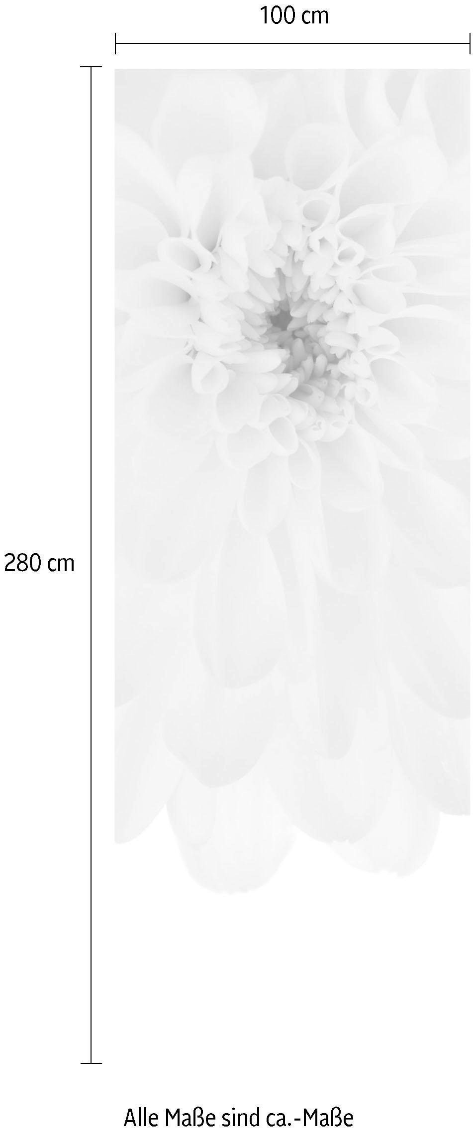 Komar Vliestapete »Beautiful«, 100x280 cm (Breite x Höhe), Vliestapete, 100 cm Bahnbreite