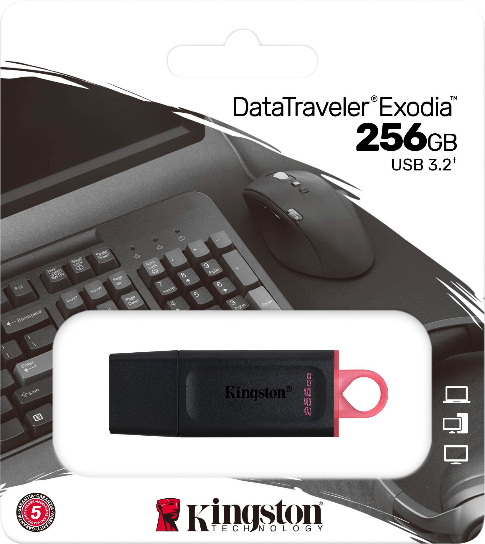Kingston USB-Stick »DATATRAVELER EXODIA 256GB«, (USB 3.2)