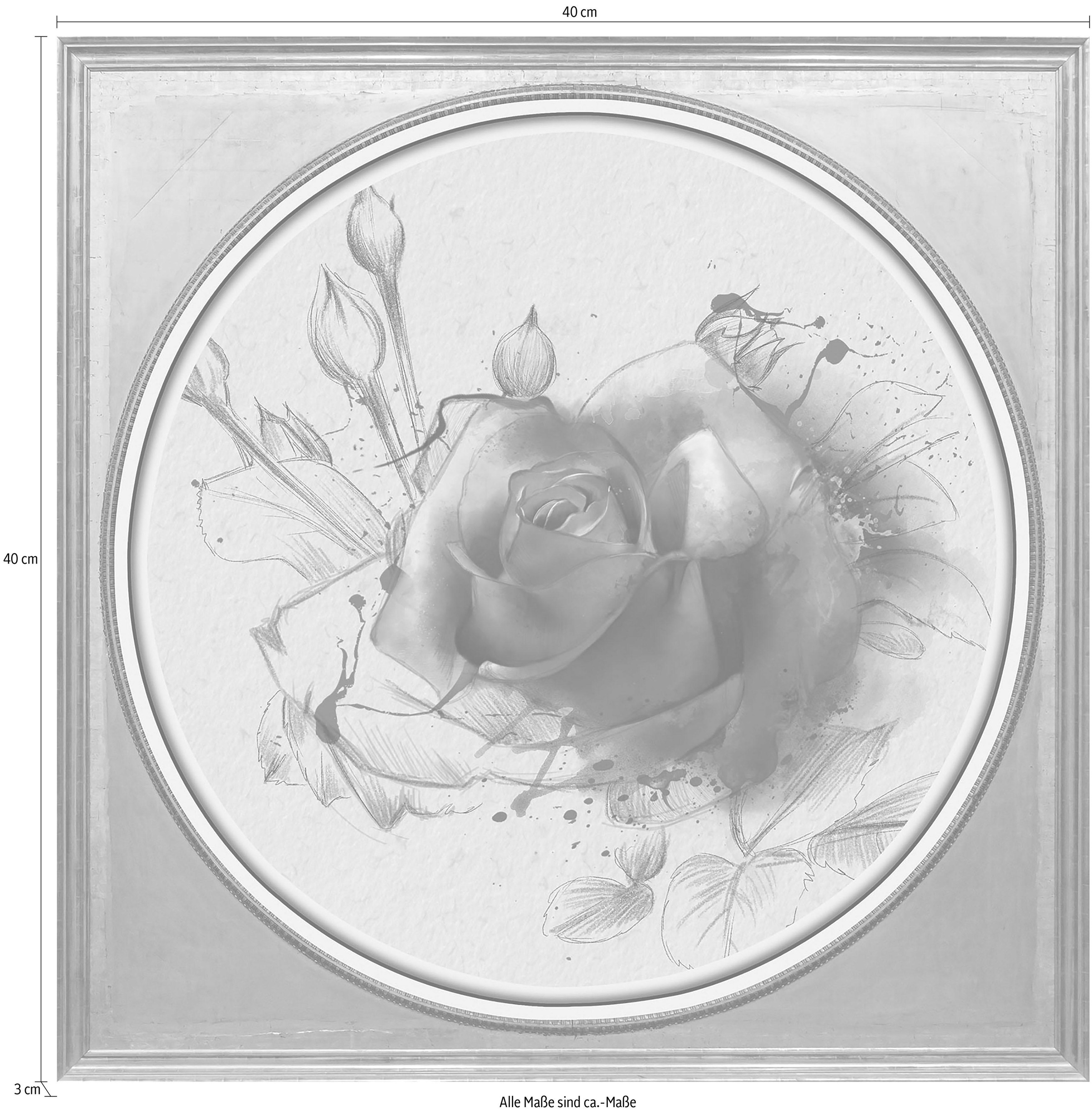 queence Acrylglasbild »Rosa Rose«, Blumen-Blumenbilder-Kunst-Pflanzen-Pflanzenbilder-Gemälde, Fine Art-Print in Galeriequalität