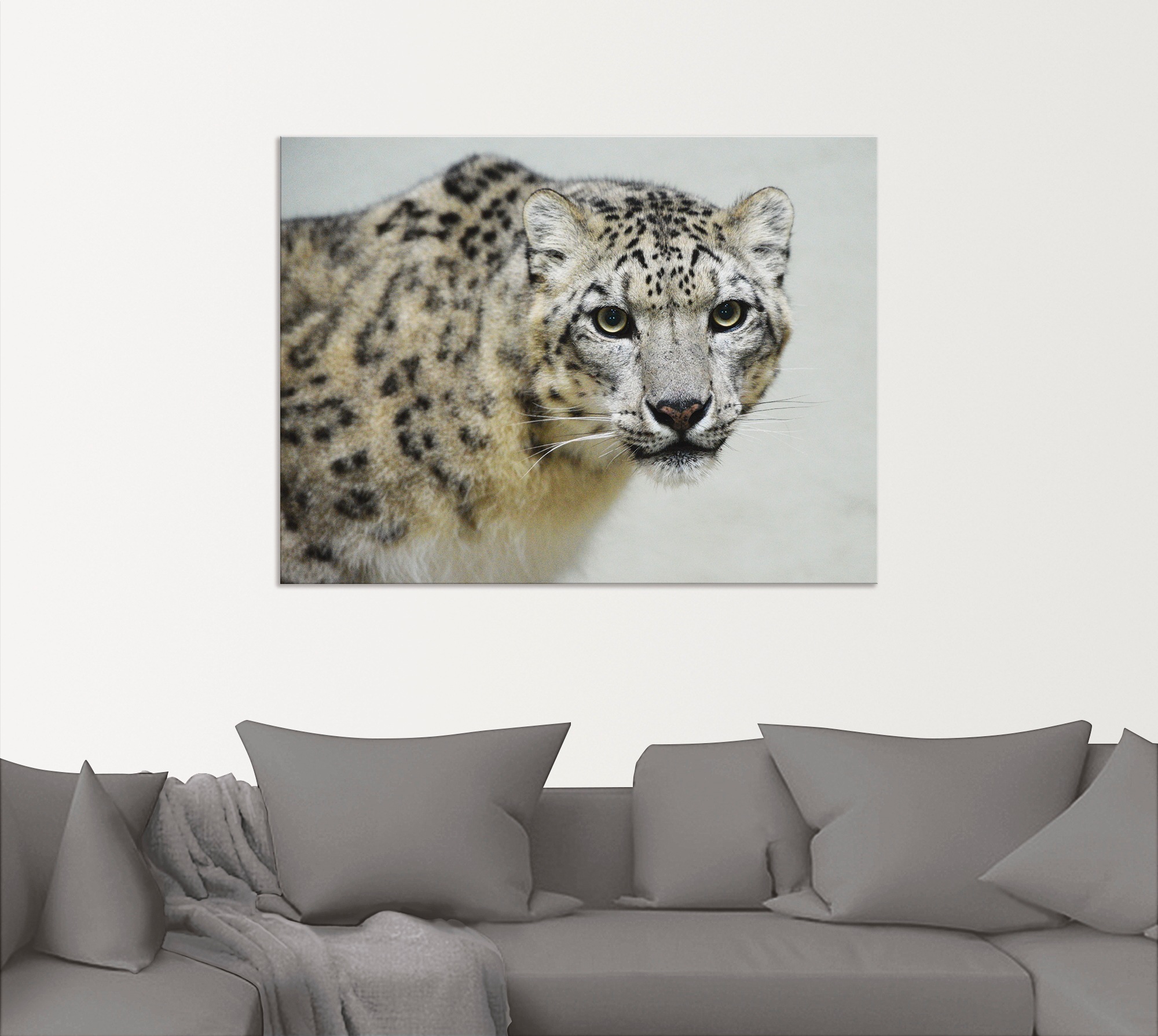 Artland Wandbild »Schneeleopard«, Wildtiere, (1 St.), als Alubild, Outdoorbild, Leinwandbild in verschied. Größen
