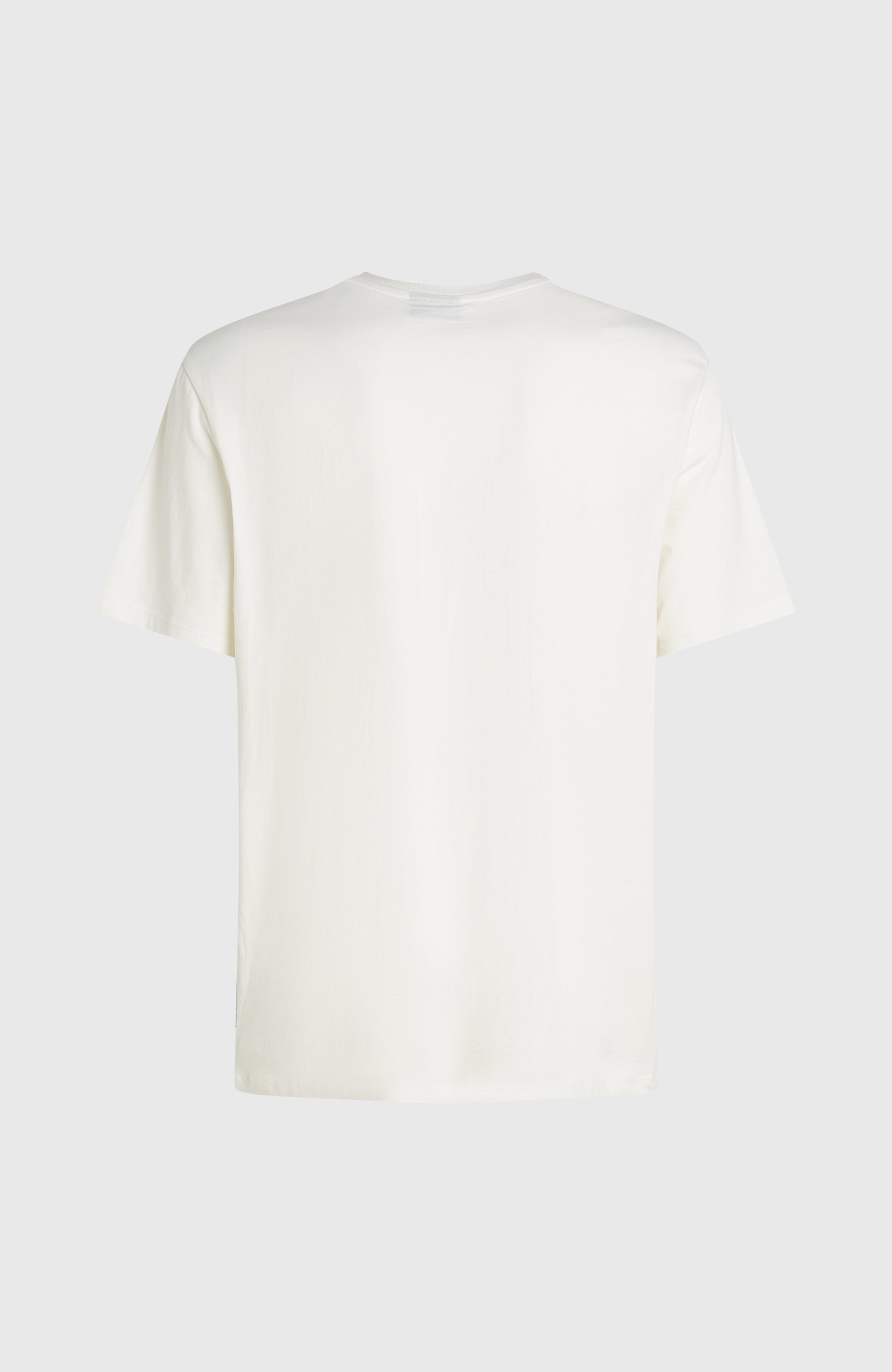 O'Neill T-Shirt »O'NEILL CHEST PRINT T-SHIRT«, (1 tlg.)