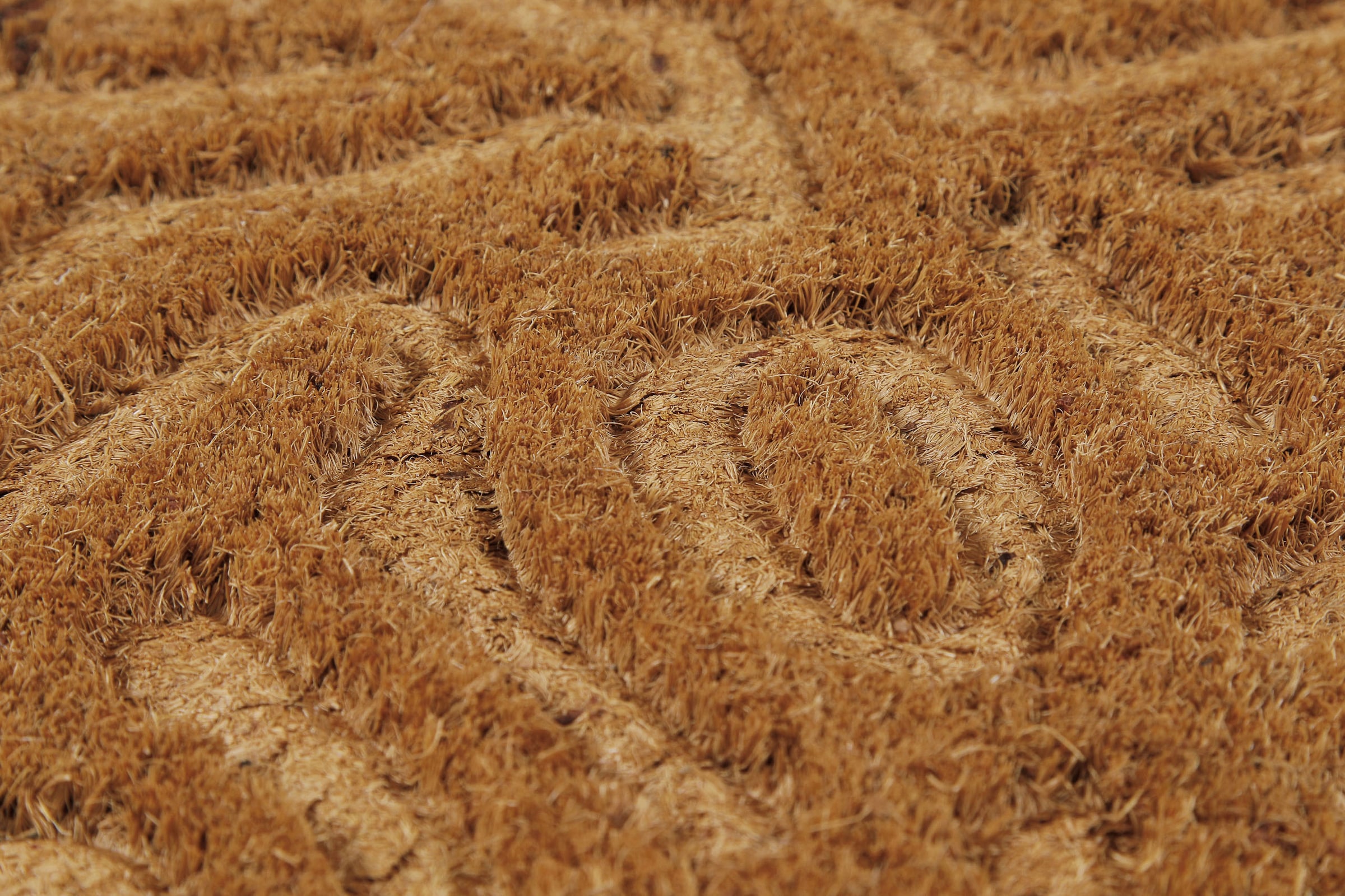 Wecon home Fußmatte »Desert Doodle«, rechteckig, 14 mm Höhe, Kokos, pflegeleicht, rutschfest, abstraktes Design, Schmutzfangmatte