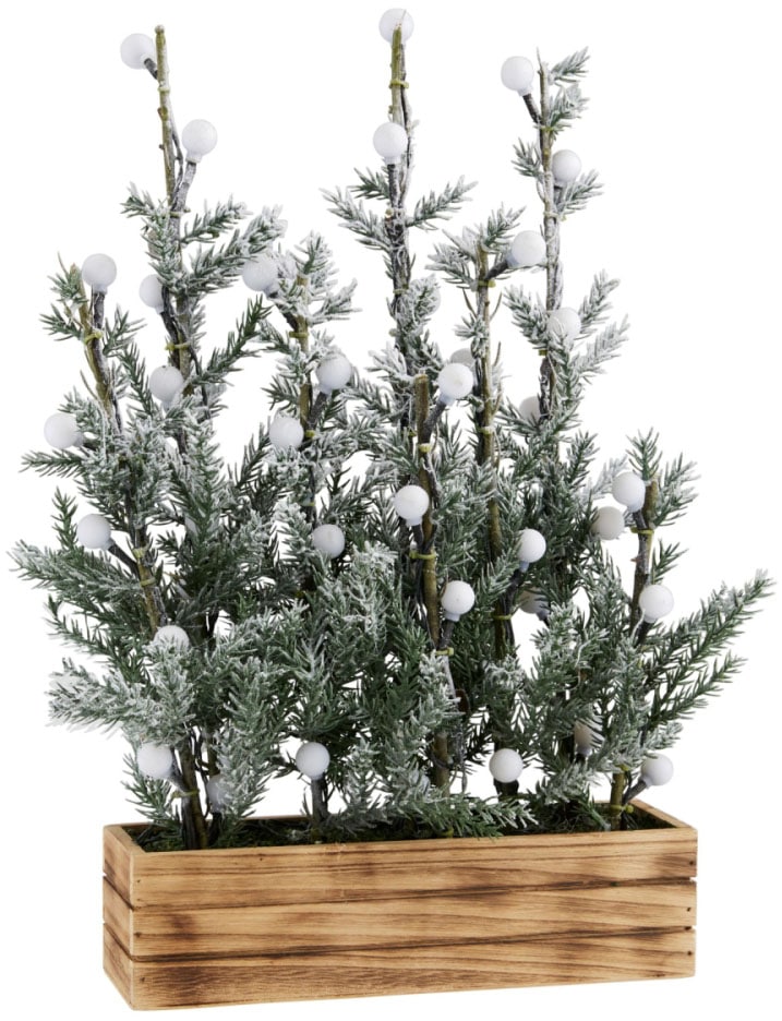 Schneider LED Baum kaufen dekorativen Rechnung im »Tannenbäumchen«, auf Weihnachtsdeko Blumenkasten