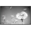 Papermoon Infrarotheizung »Pusteblume Schwarz & Weiß«, sehr angenehme Strahlungswärme