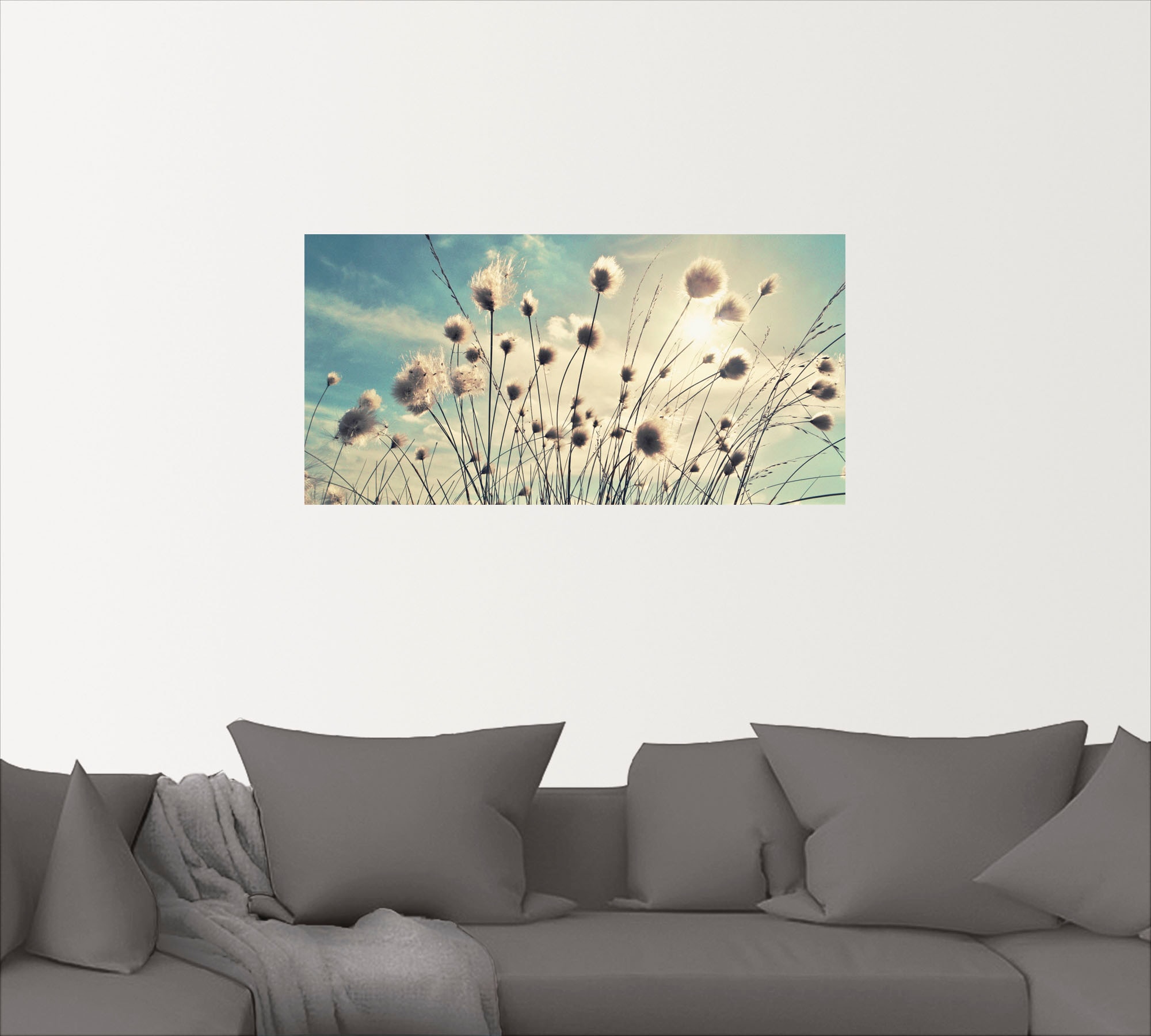 Artland Wandbild »Wollgras«, Gräser, (1 St.), als Alubild, Outdoorbild, Lei günstig online kaufen