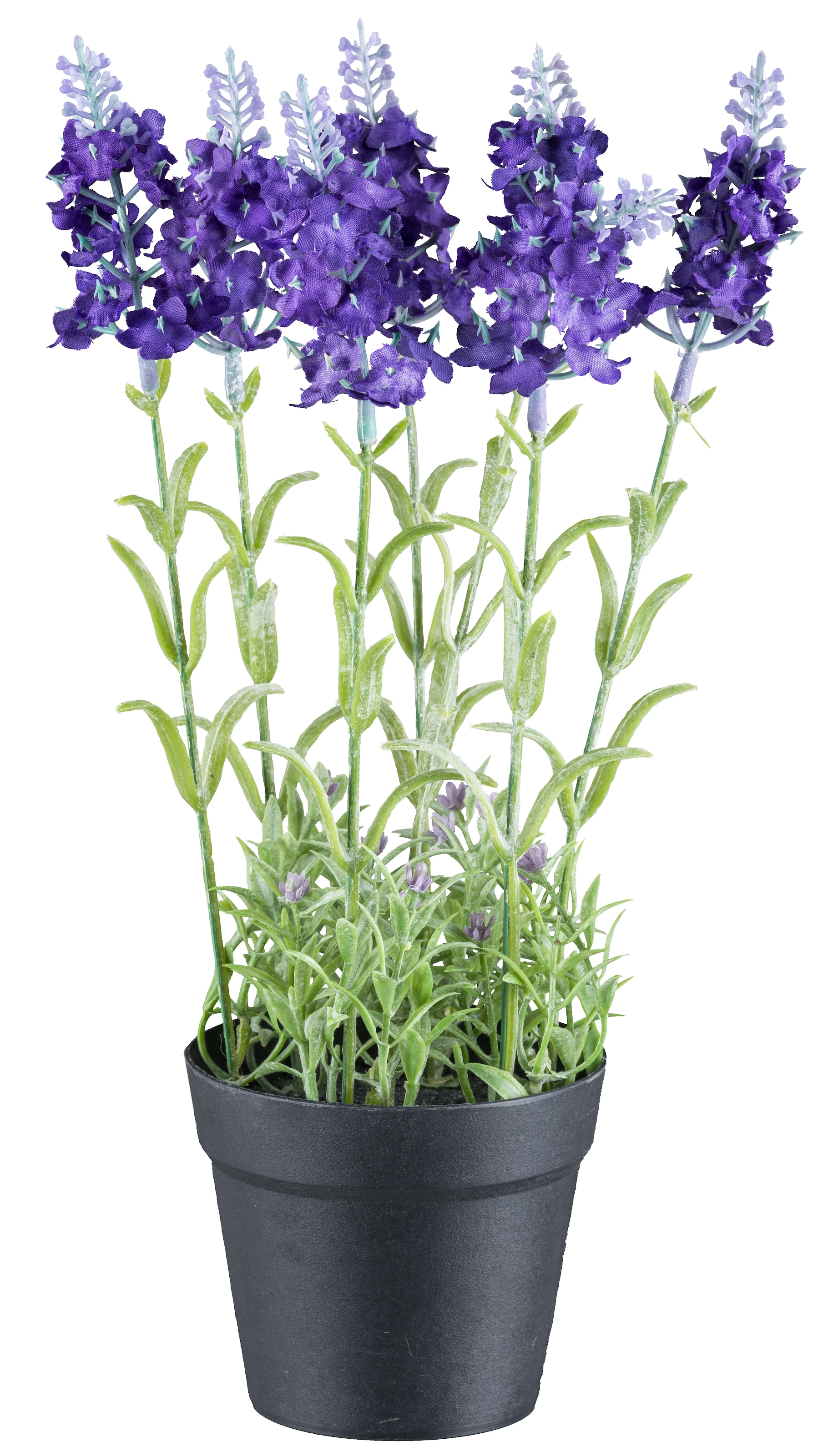 Creativ green Kunstpflanze »Lavendel«, mit täuschend echten Blüten