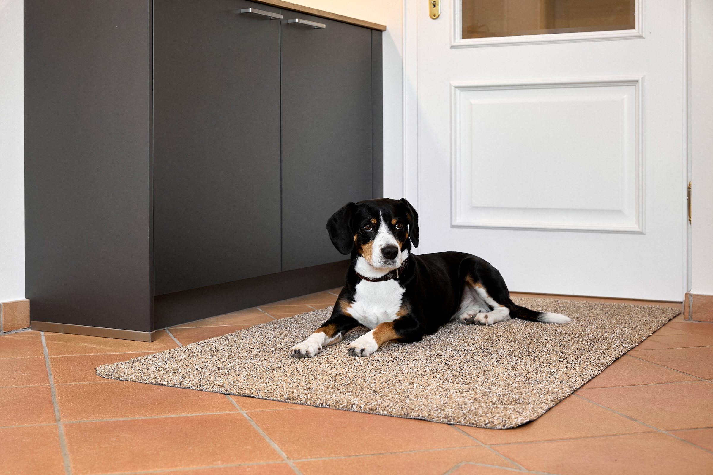 ASTRA Fußmatte »Saugstark 601« rechteckig 9 mm Höhe Schmutzfangmatte, In -und Outdoor geeignet