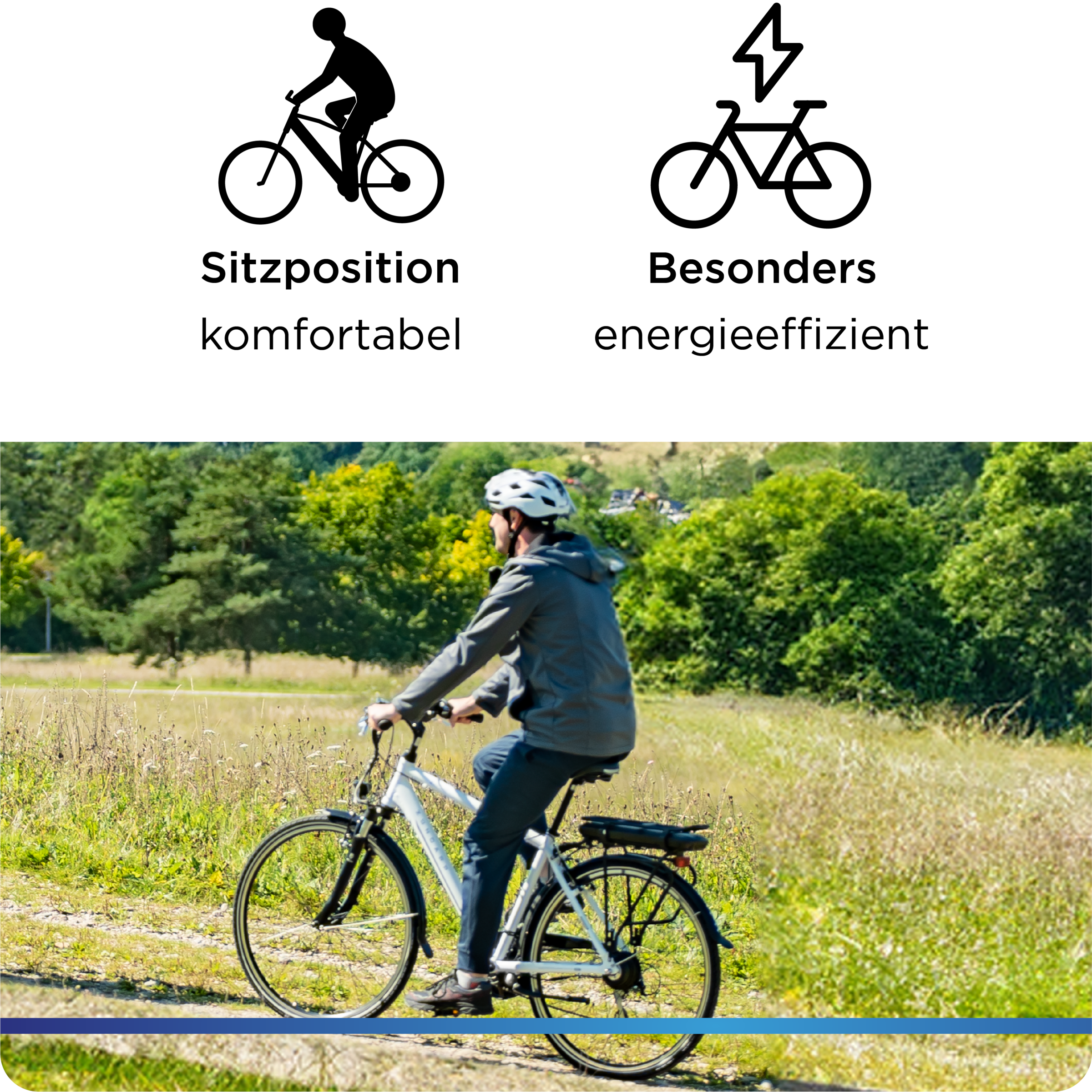 Zündapp »Z802 Herren« 21 Gang Shimano Tourney Schaltwerk Kettenschaltung Heckmotor 250 W Pedelec, Elektrofahrrad für Damen u. Herren