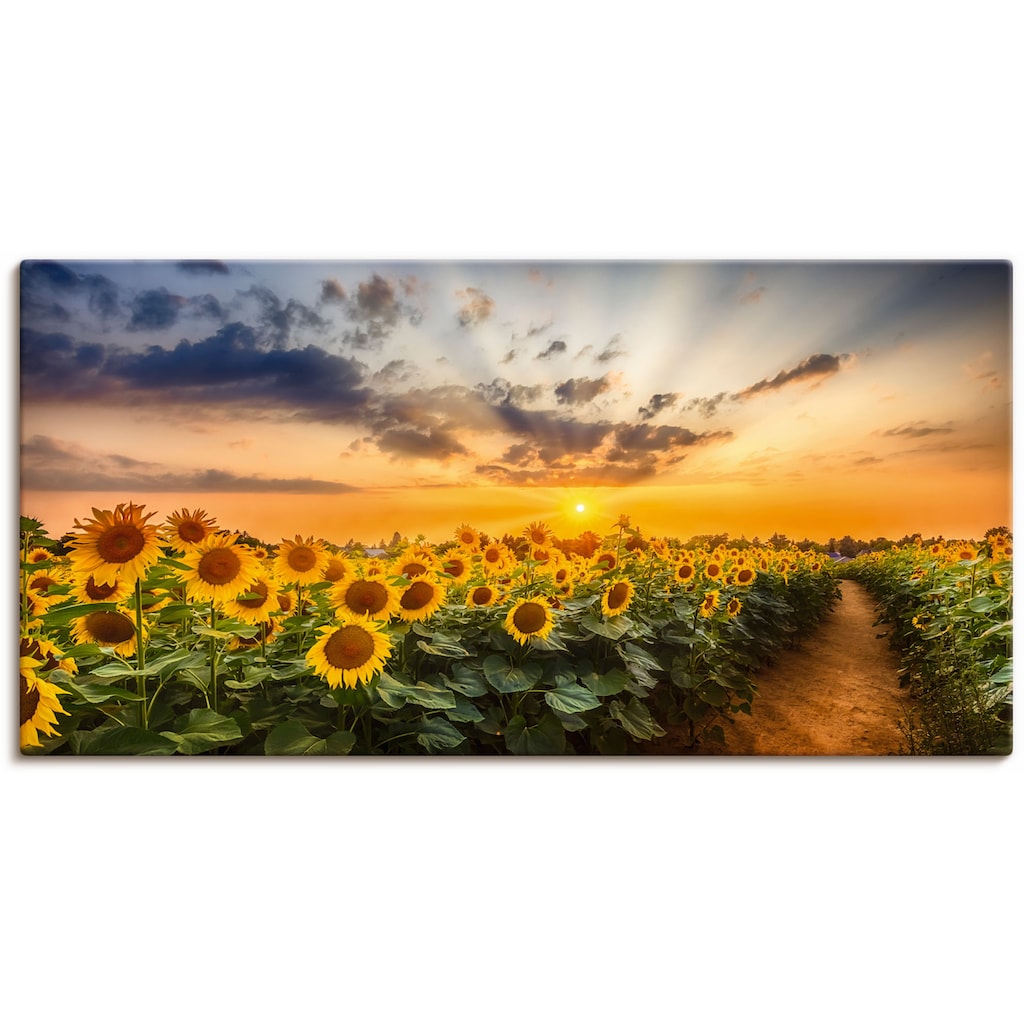 Artland Wandbild »Sonnenblumenfeld bei Sonnenuntergang«, Blumenbilder, (1 St.)