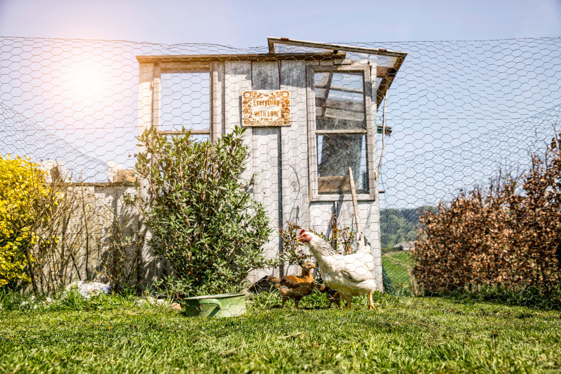 Windhager Voliere »für Hasen, Hühner und Vögel, Kleintiergeflecht« Sechseck-Geflecht erhältlich in unterschiedlichen Größen, grün