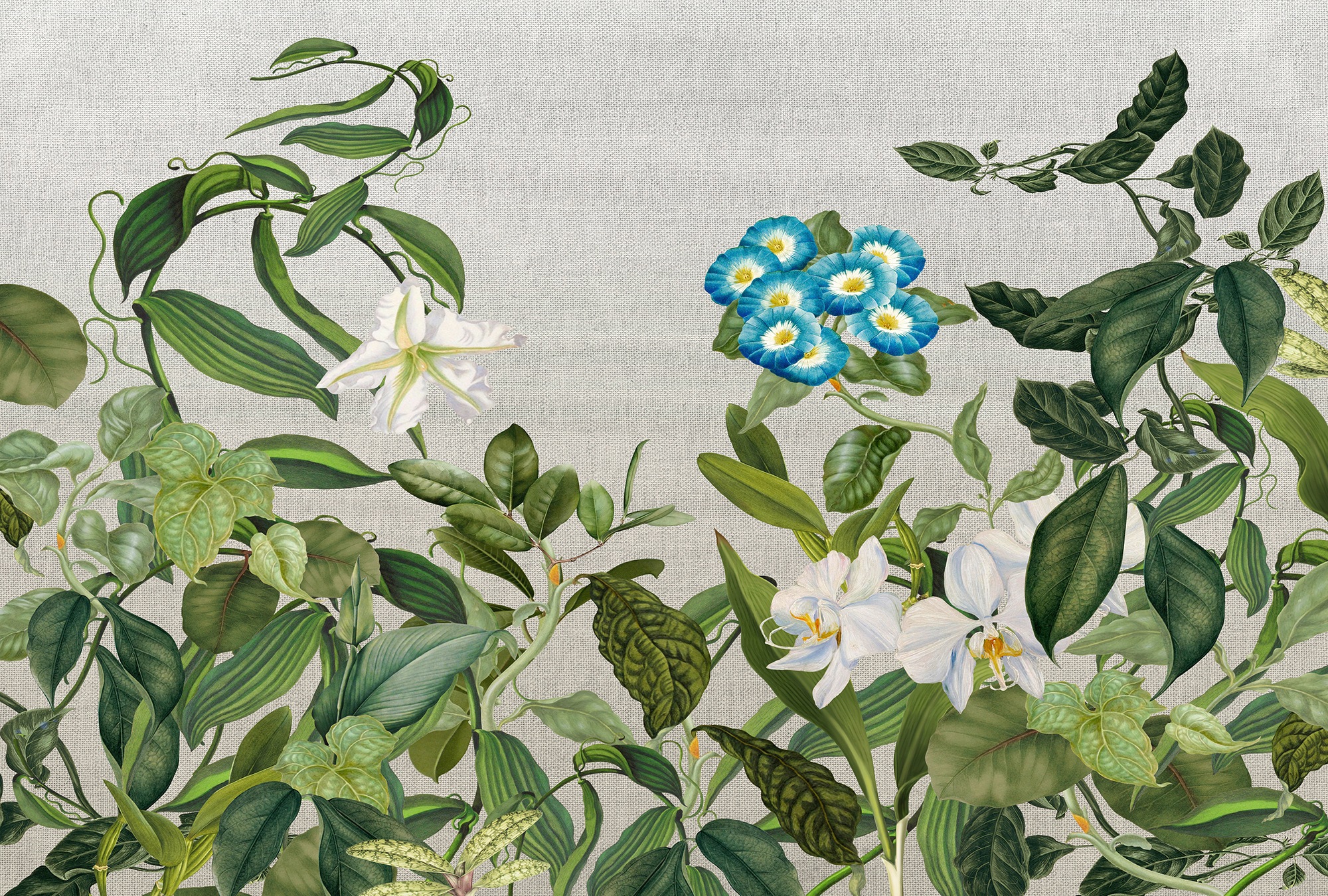 Architects Paper Fototapete »Atelier 47 Botanic Sketch 1« floral glatt Vlie günstig online kaufen