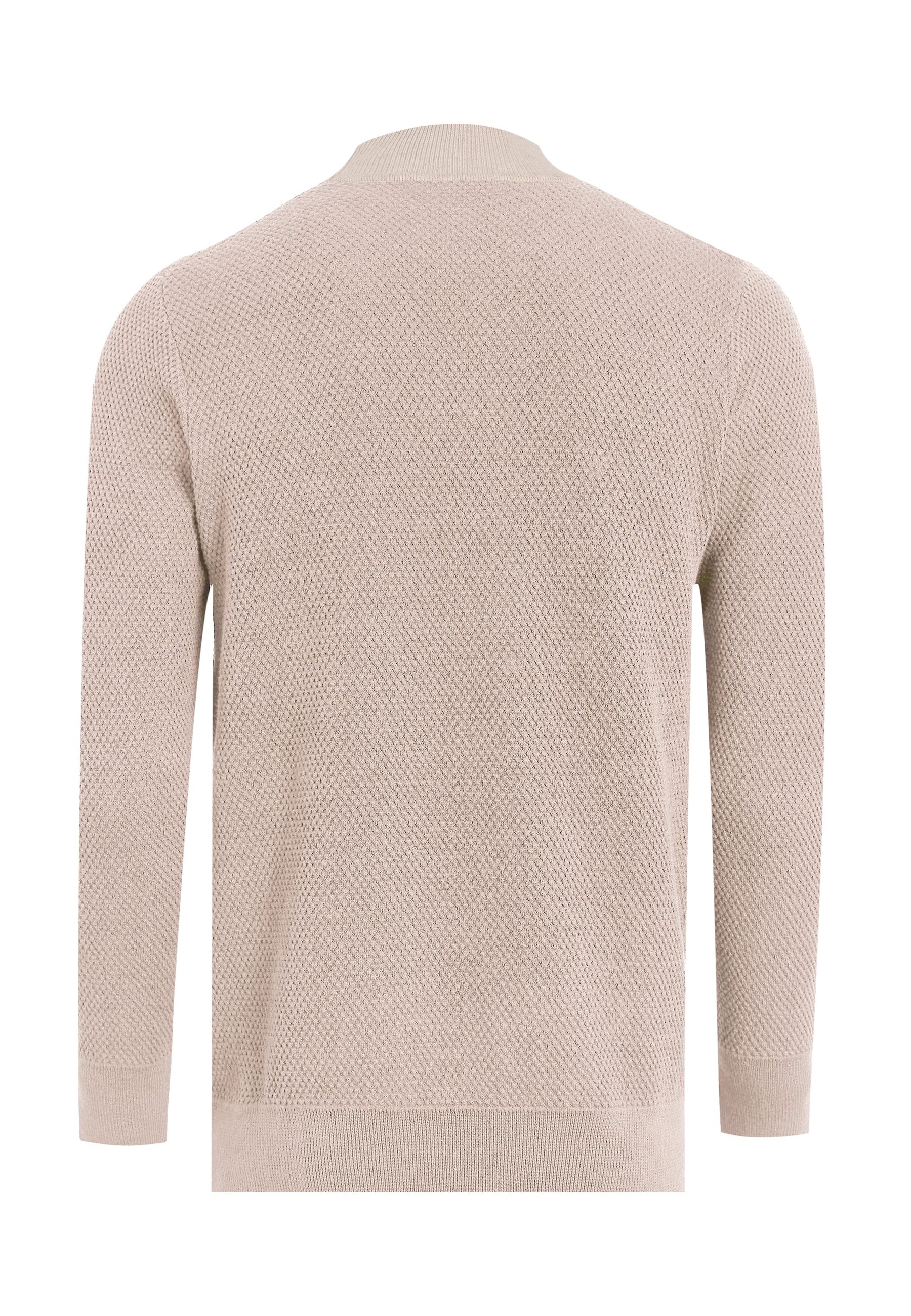 Felix Hardy Rollkragenpullover »Rollkragenpullover«