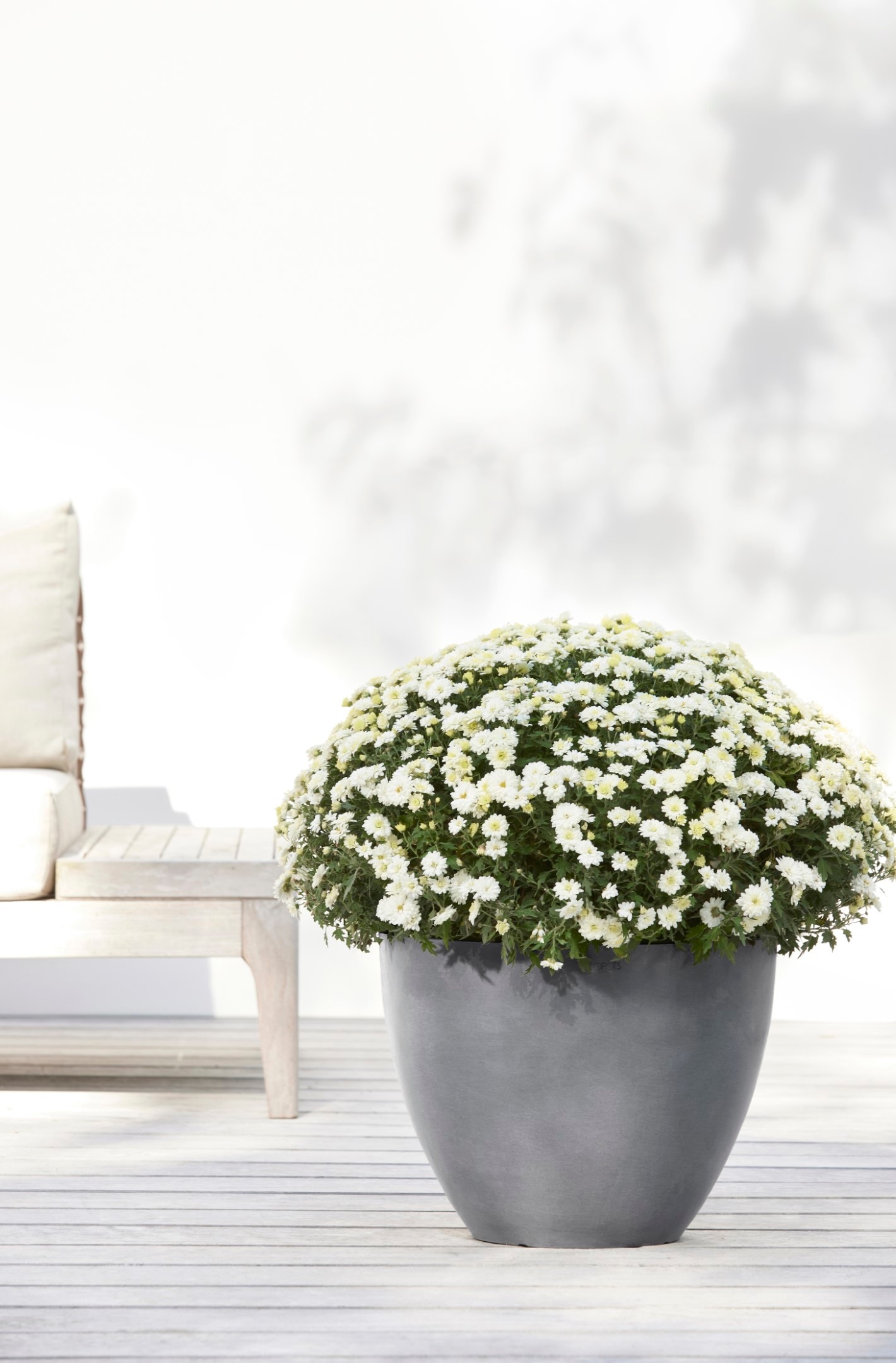 ECOPOTS Blumentopf »ANTWERP Grey«, BxTxH: 40x40x30 cm