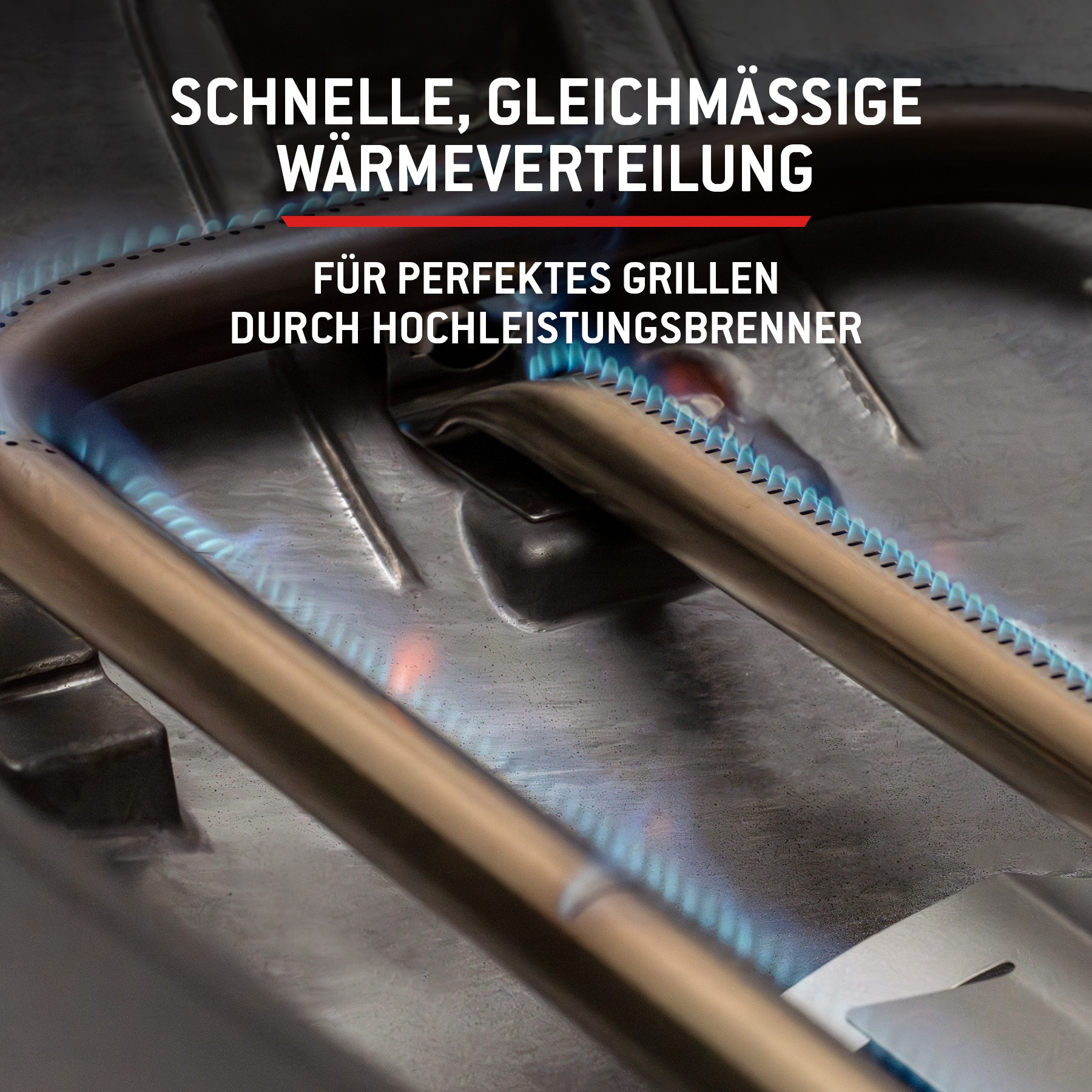 Weber Gasgrill »Q2200N« Mit Deckelthermometer, abnehmbaren Seitentischen und Untergestell