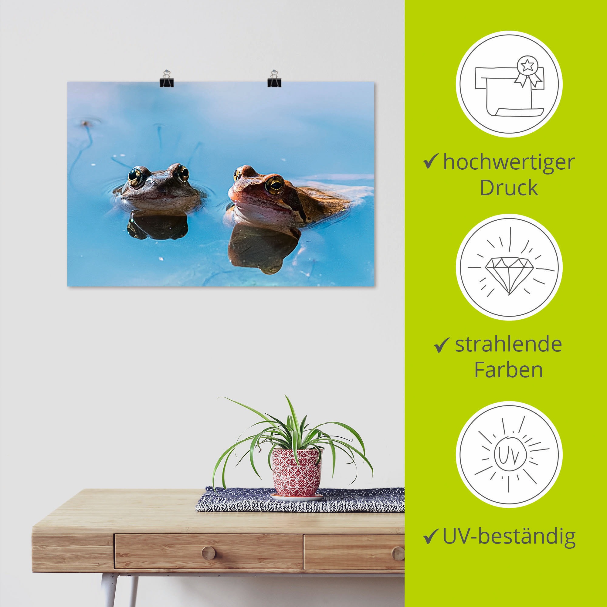 Artland Wandbild »Zwei Froesche«, Frosch, (1 St.), als Alubild, Leinwandbild, Wandaufkleber oder Poster in versch. Größen