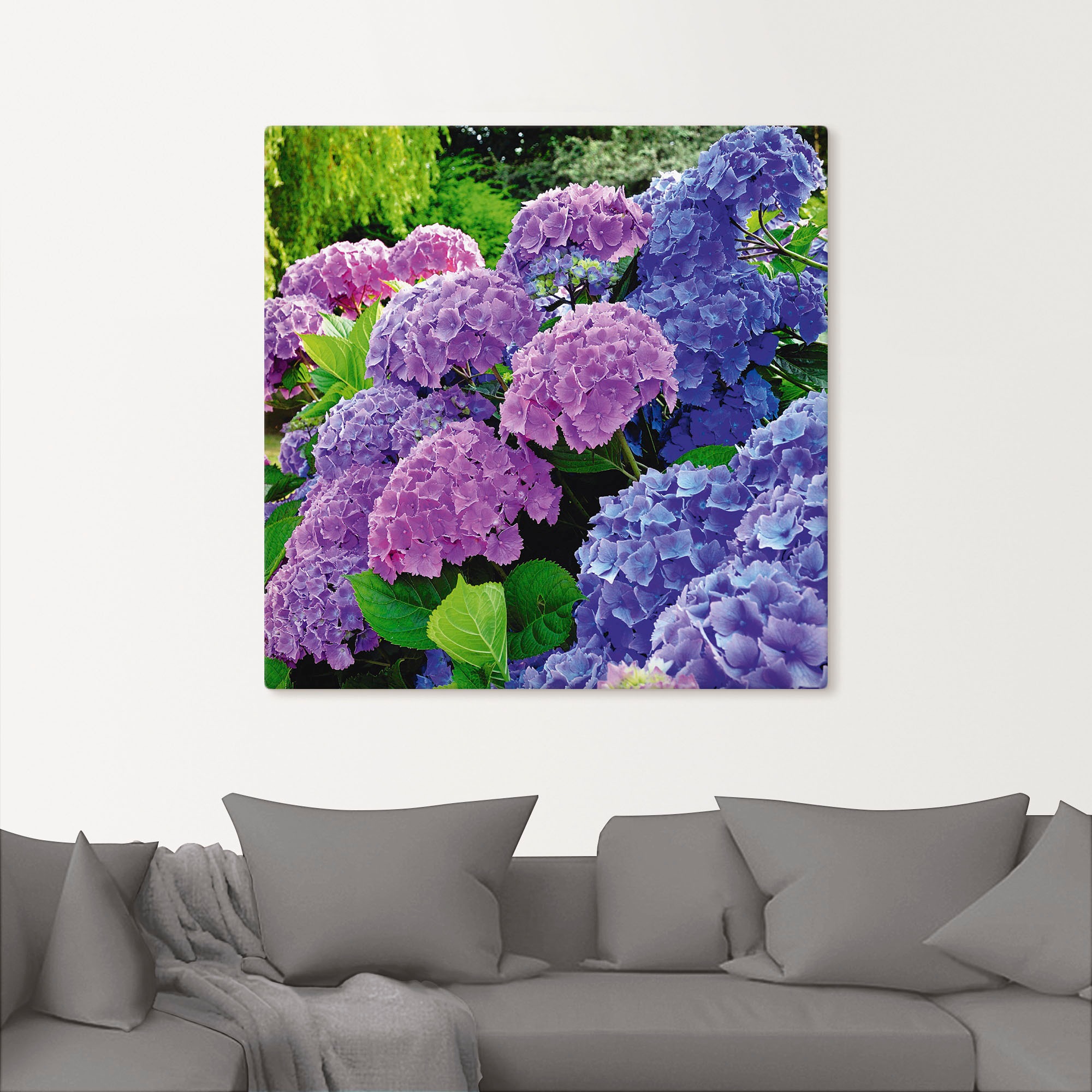 Artland Wandbild »Hortensien im Garten«, Blumen, (1 St.), als Alubild, Outd günstig online kaufen