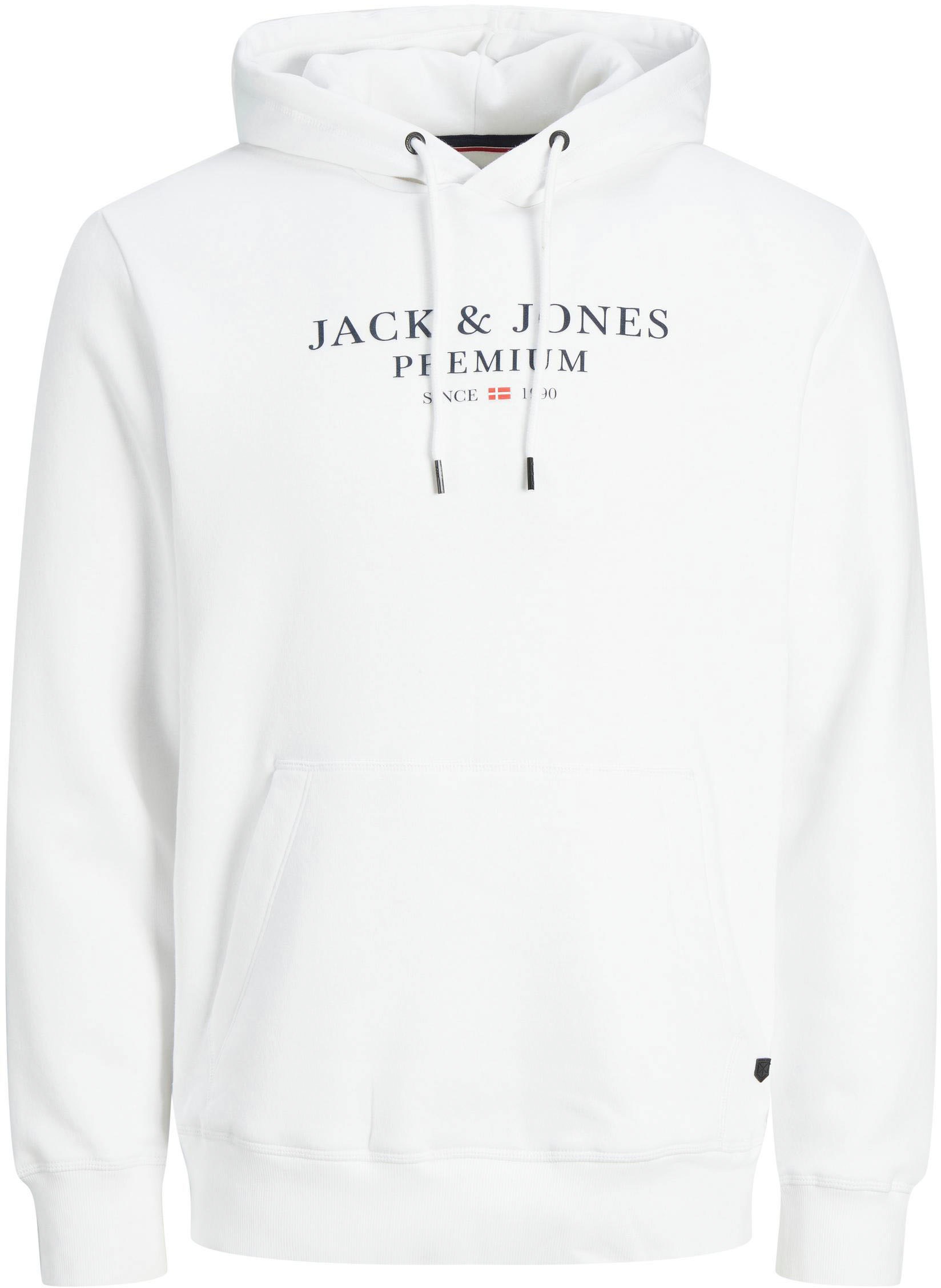 Jack & Jones Kapuzensweatshirt »JPRBLUARCHIE SWEAT HOOD NOOS«
