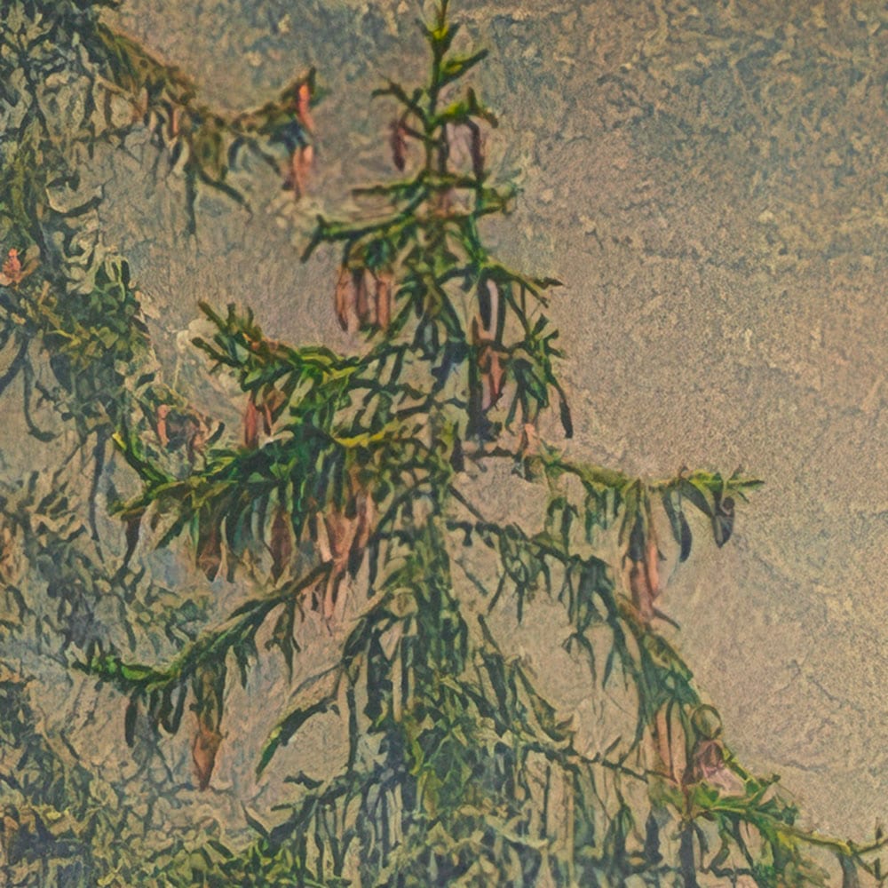 Komar Fototapete »Vlies Fototapete - Mystical Firs - Größe 400 x 250 cm« Motiv | bedruckt glatt