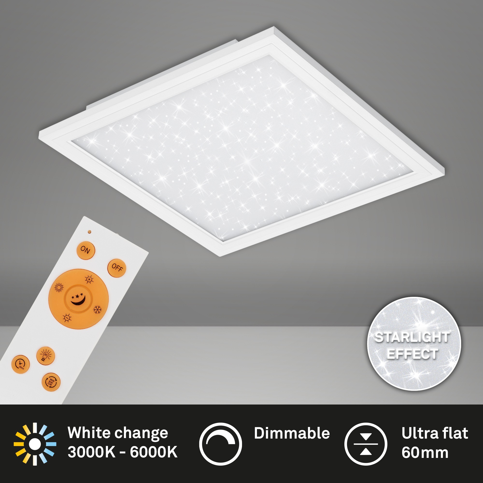 Briloner Leuchten LED Panel »PALLAS« mit Fernbedienung