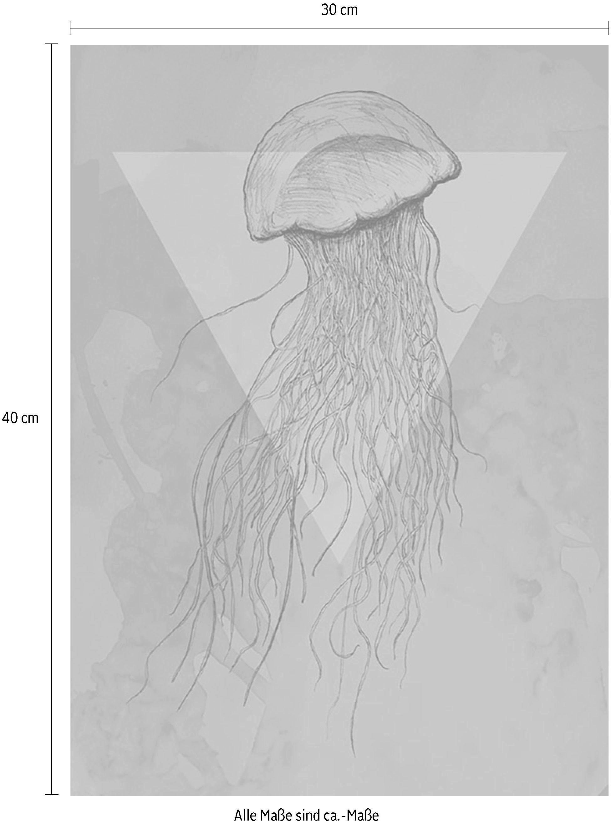 Komar Bild »Jellyfish Pink«, Tiere, (1 St.), Wandbild zur Dekoration - ohne Rahmen