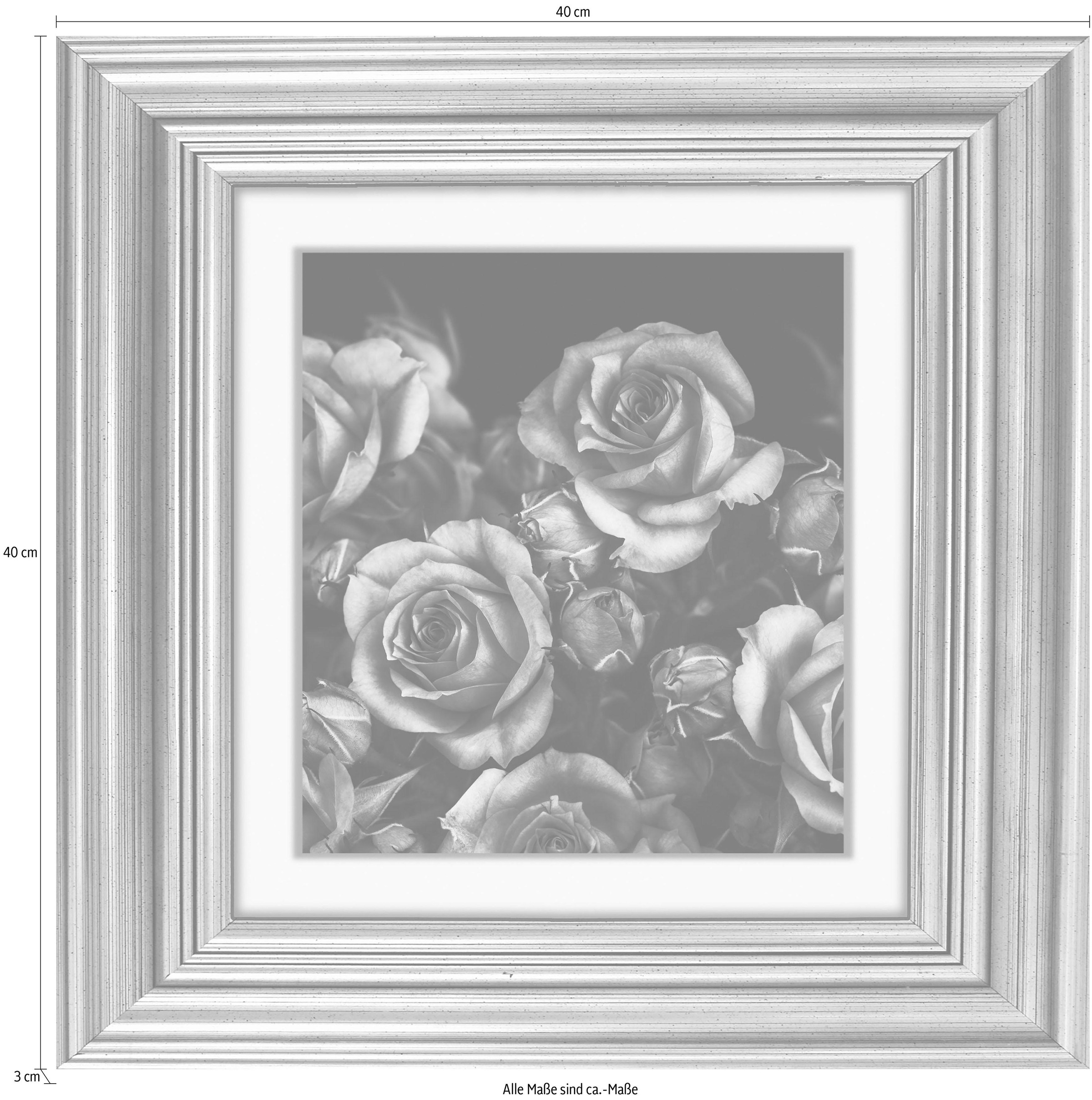 queence Acrylglasbild »Rosen Blüten«