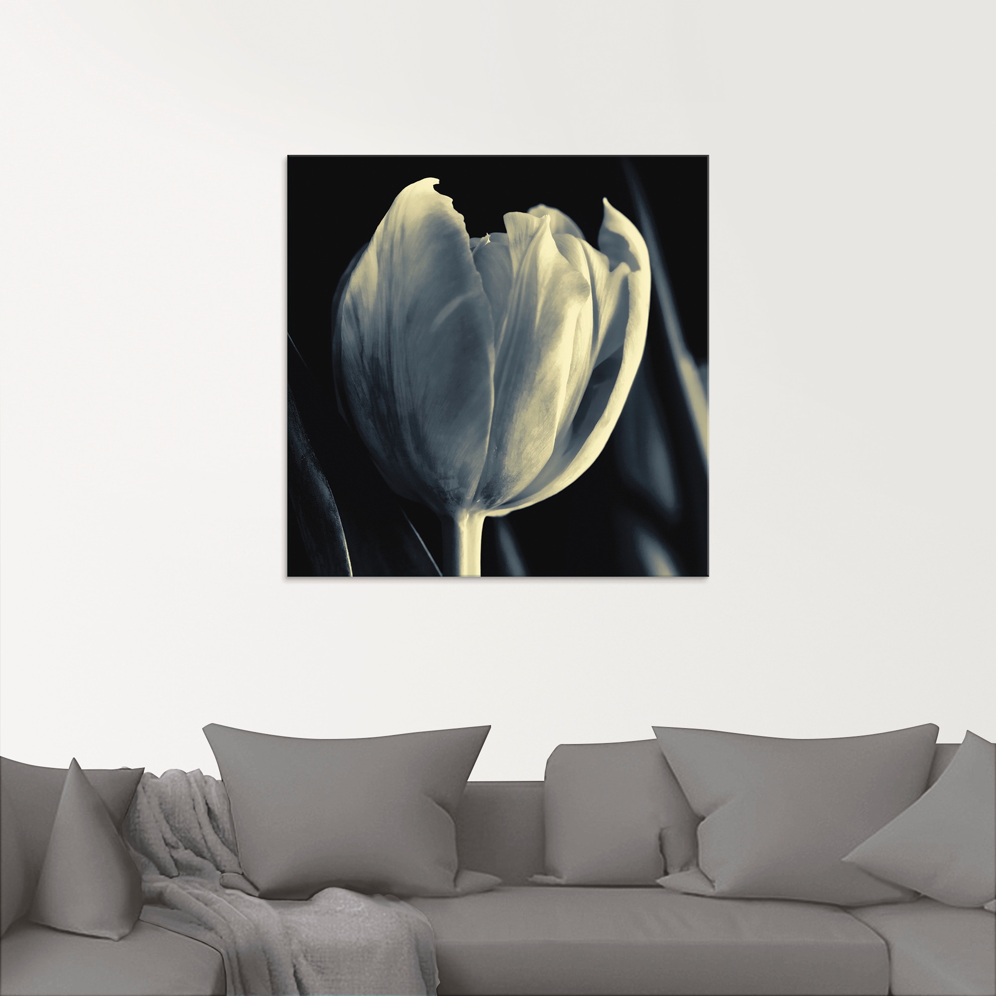 Artland Glasbild »Tulpe«, Blumen, (1 St.), in verschiedenen Größen günstig online kaufen