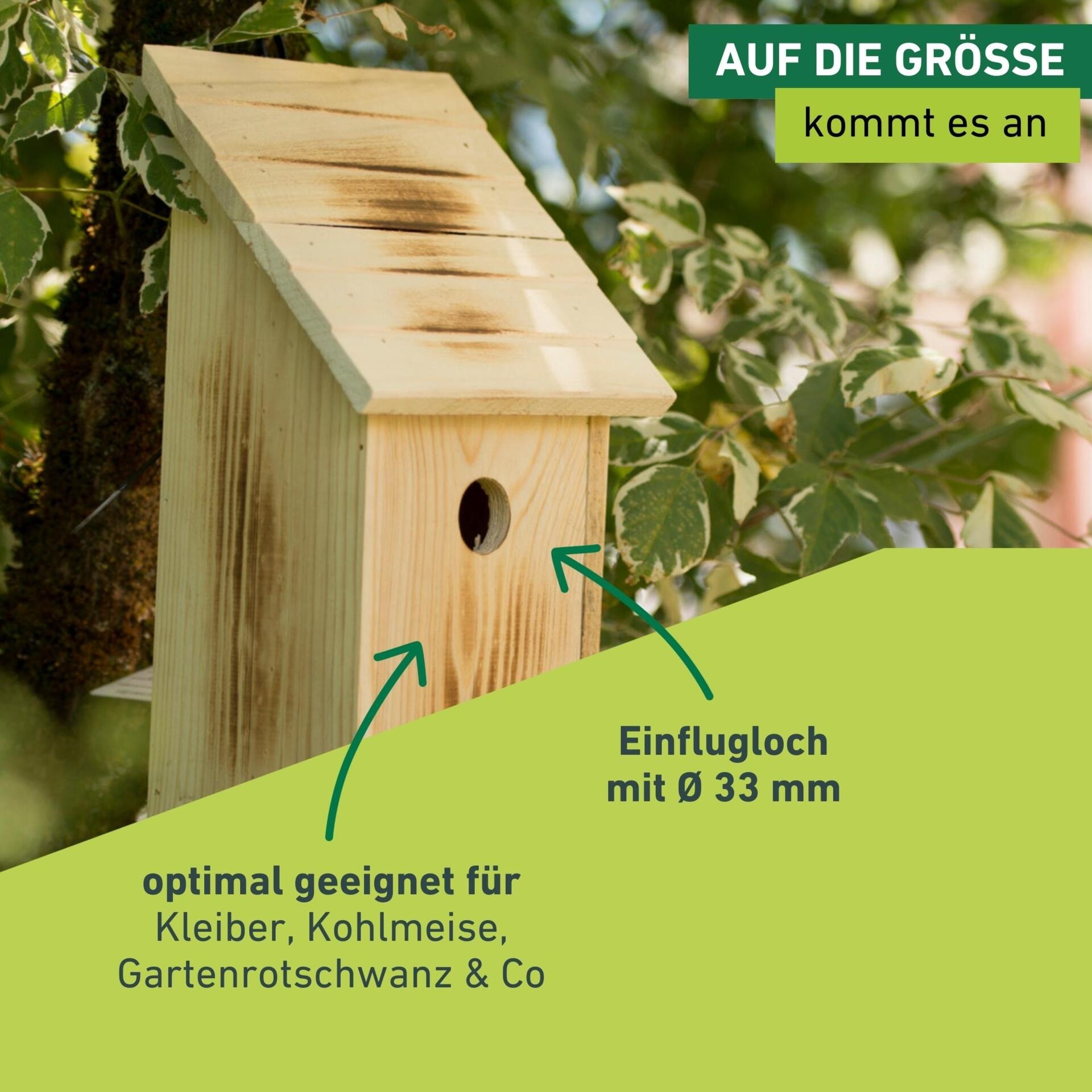 Windhager Nistkasten »aus massivem Pappelholz, sicherer Brutplatz für Vögel« Brutquartier einfach zu reinigen, inkl. Aufhängung