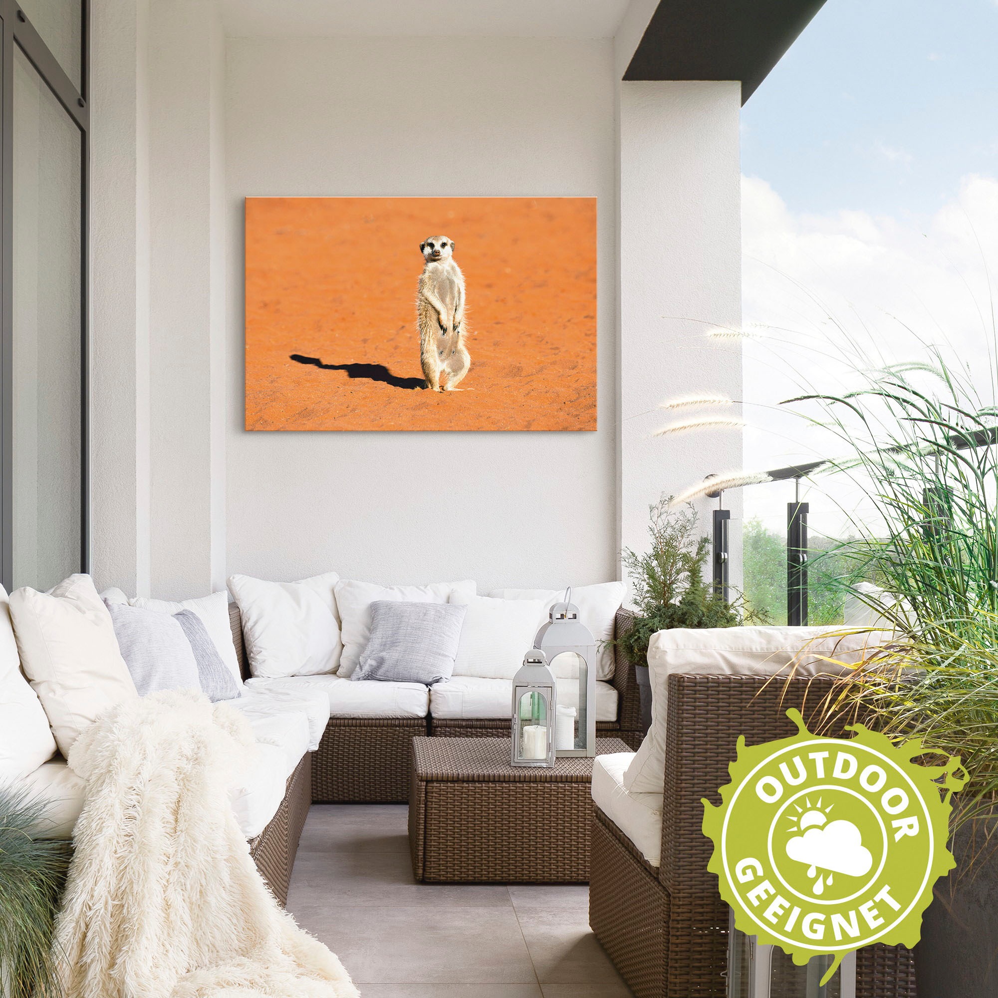 Artland Wandbild »Erdmännchen«, Wildtiere, (1 St.), als Alubild, Leinwandbild, Wandaufkleber oder Poster in versch. Größen