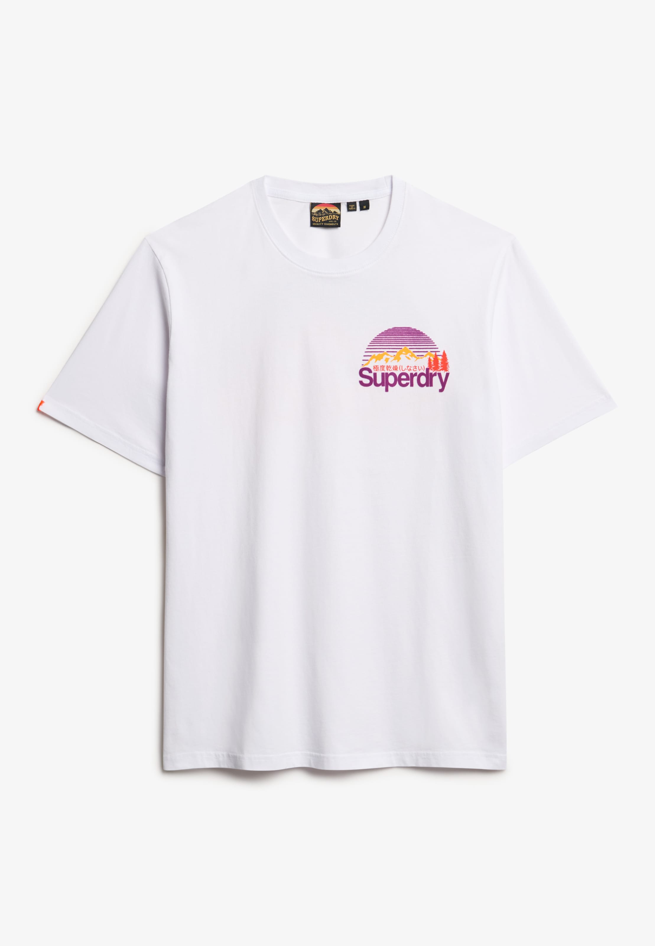 Superdry Rundhalsshirt »CL GREAT OUTDOORS CHEST TEE«