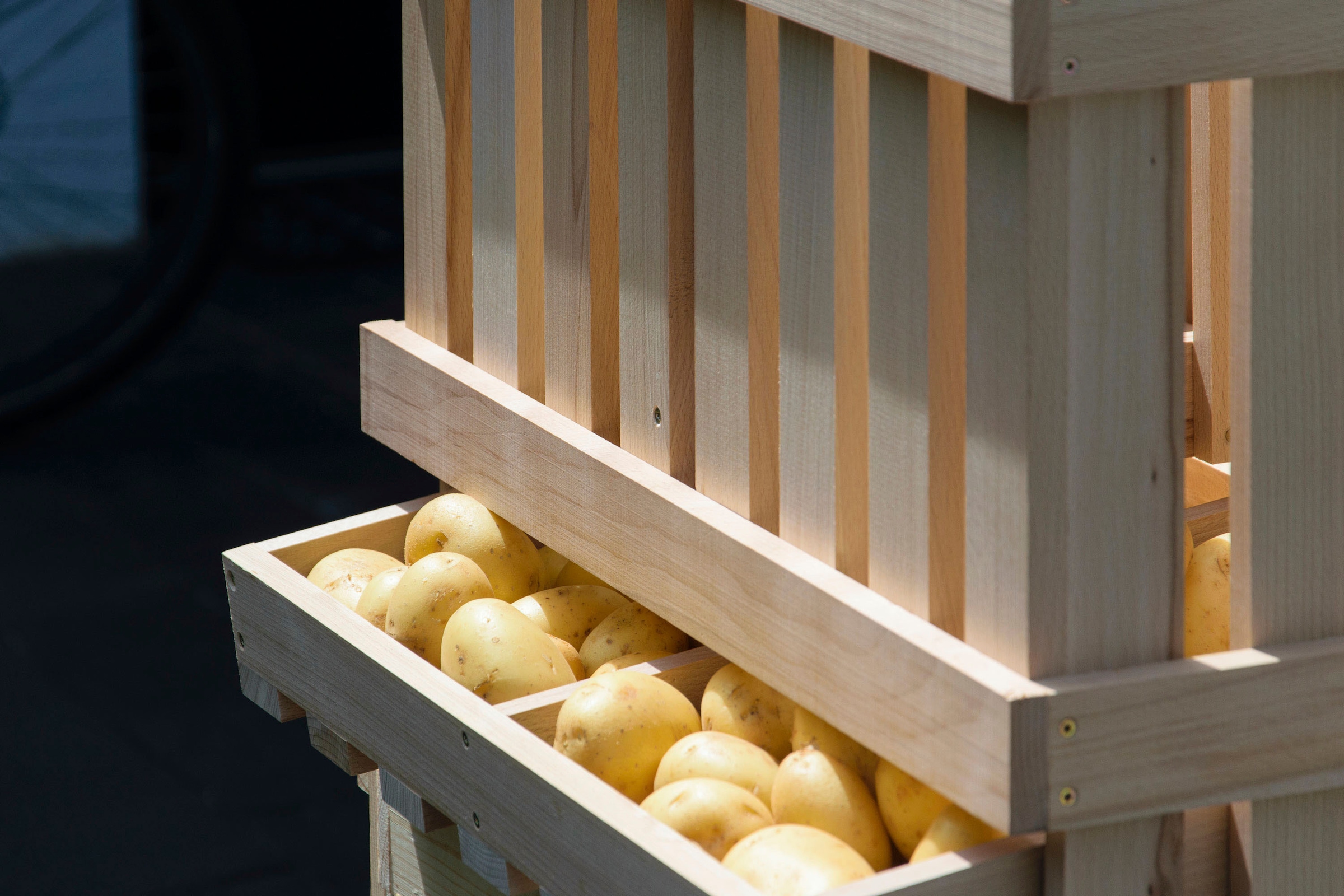 dobar Holzkiste Vorratsbehälter aus Holz mit 2 Abteilungen