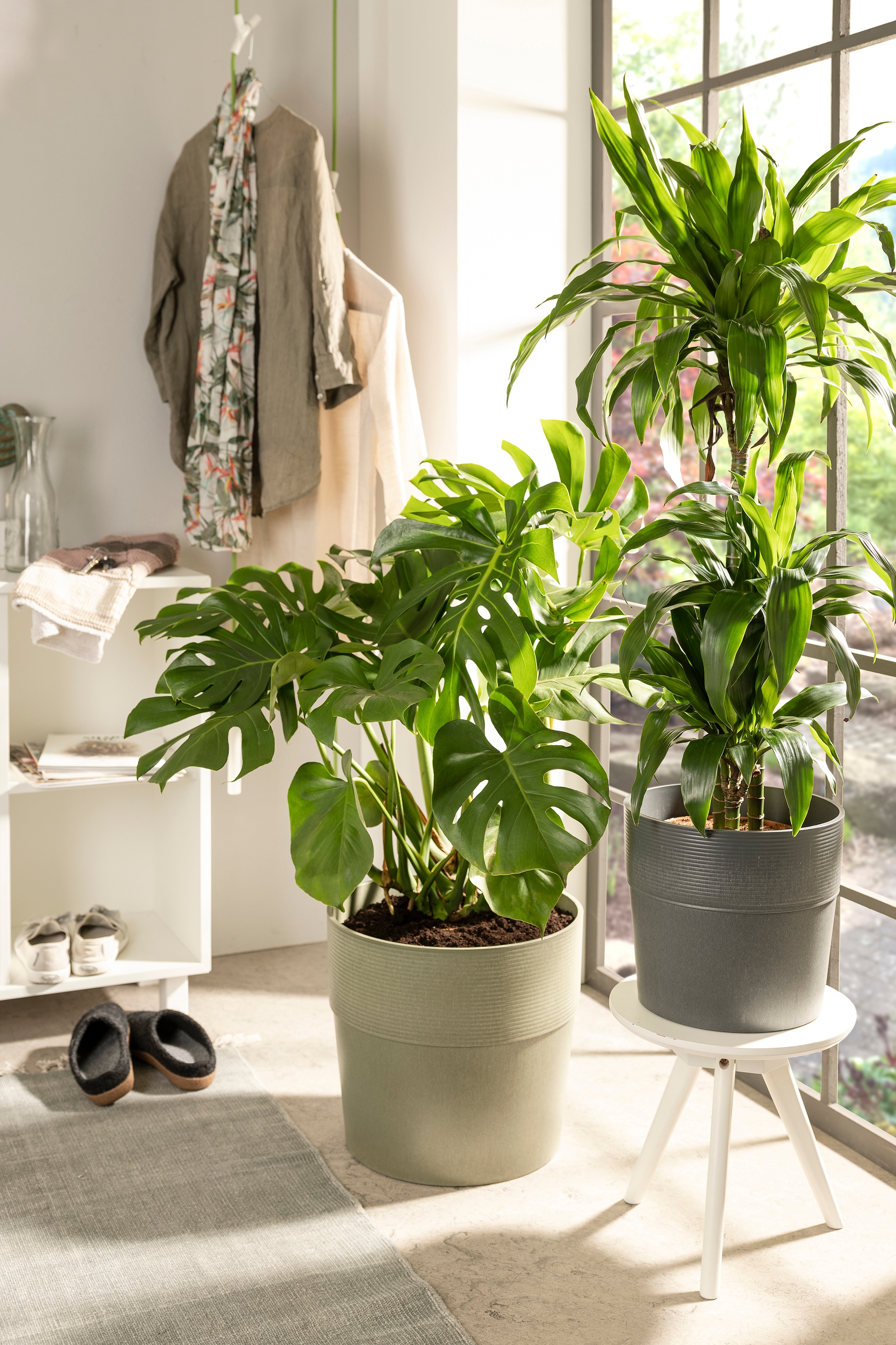 Scheurich Blumentopf »224/30 groove khaki«