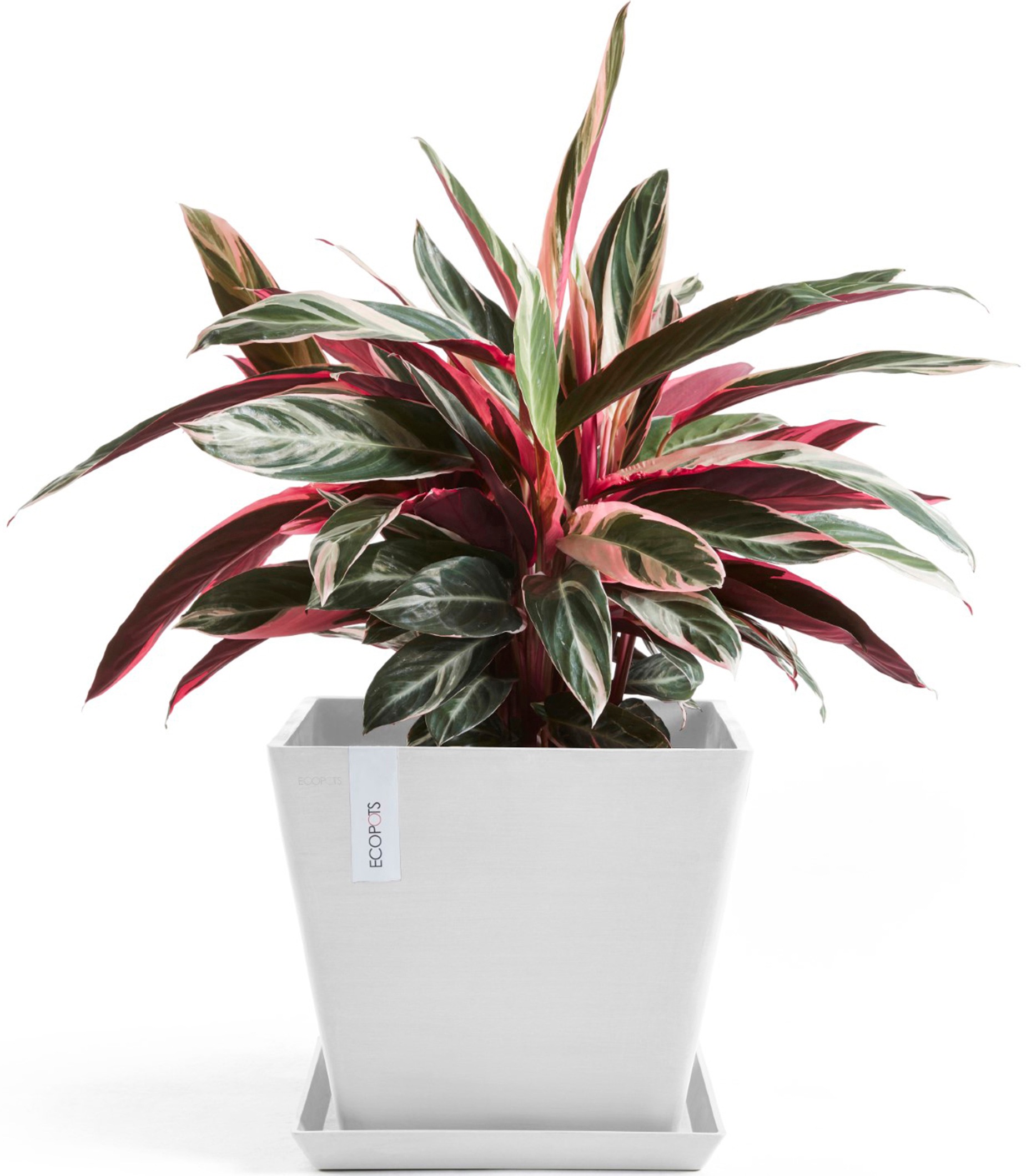 ECOPOTS Blumentopf »Rotterdam 30 Weiß«, für innen und außen: frostsicher, bruchsicher und lichtbeständig