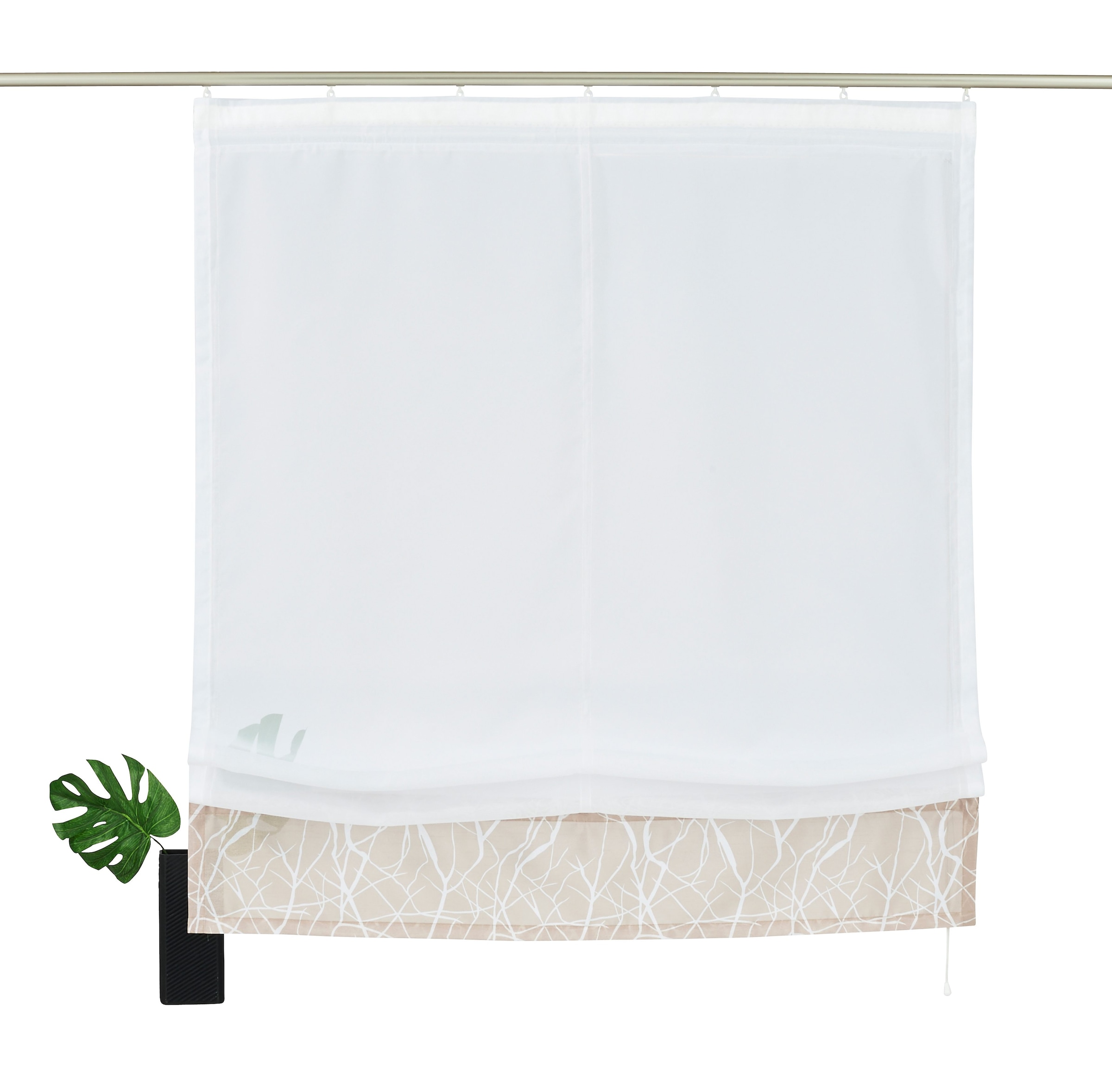 my home Raffrollo »Camposa«, mit und schnell Klettband, bestellen Transparent, Polyester bequem Voile