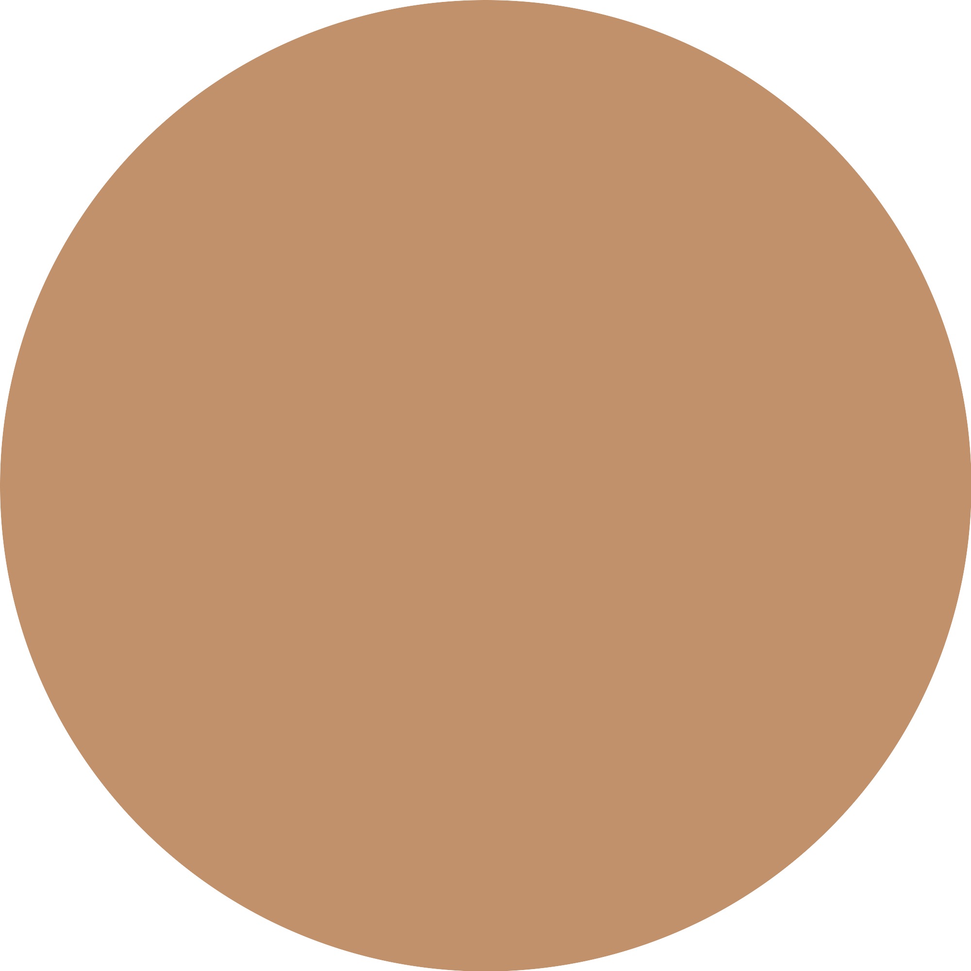 Essence Foundation »Silky BLUR HYDRATING LONGWEAR FOUNDATION«