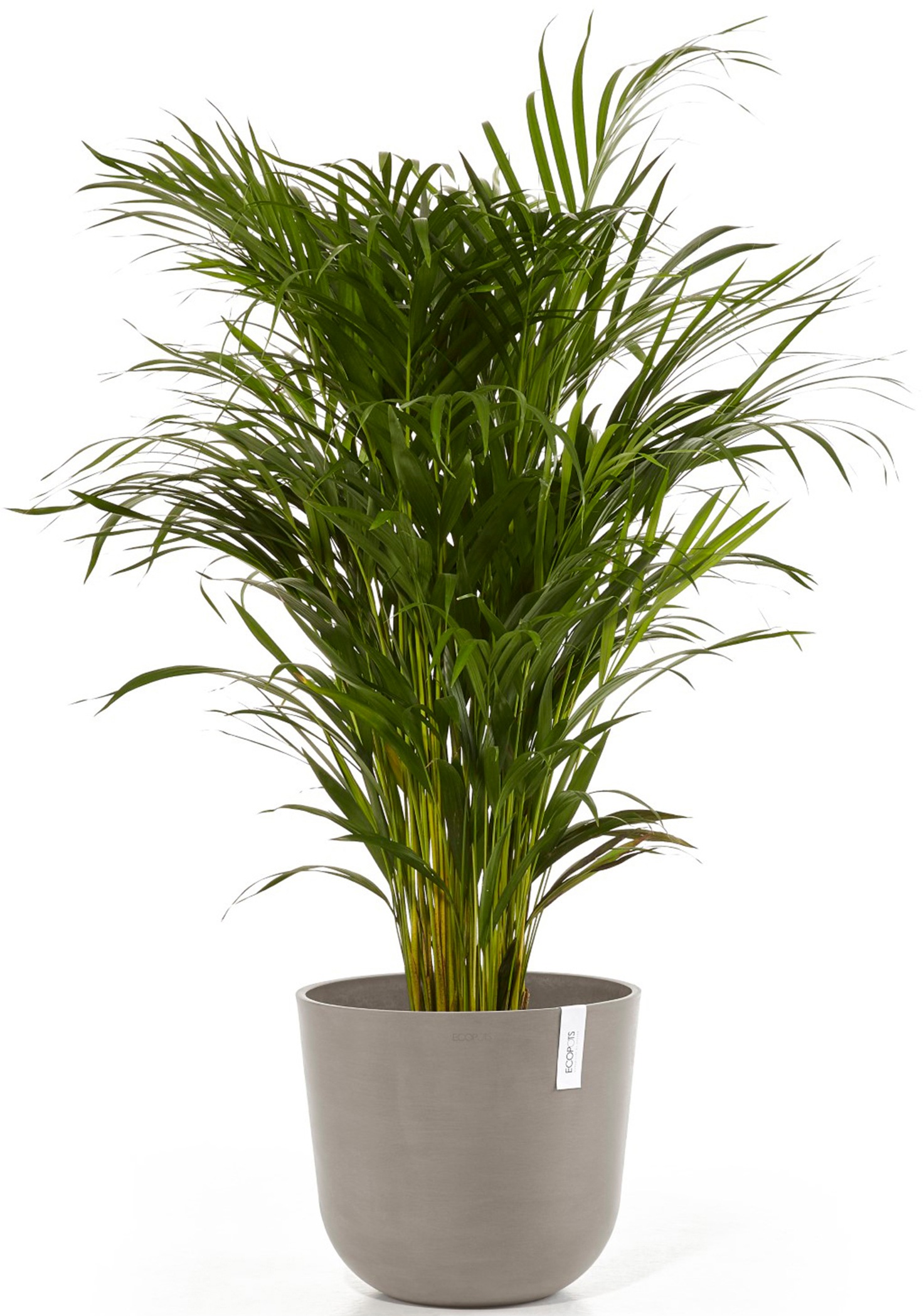 ECOPOTS Blumentopf »Oslo 35 Taupe«, für innen und außen: frostsicher, bruchsicher und lichtbeständig
