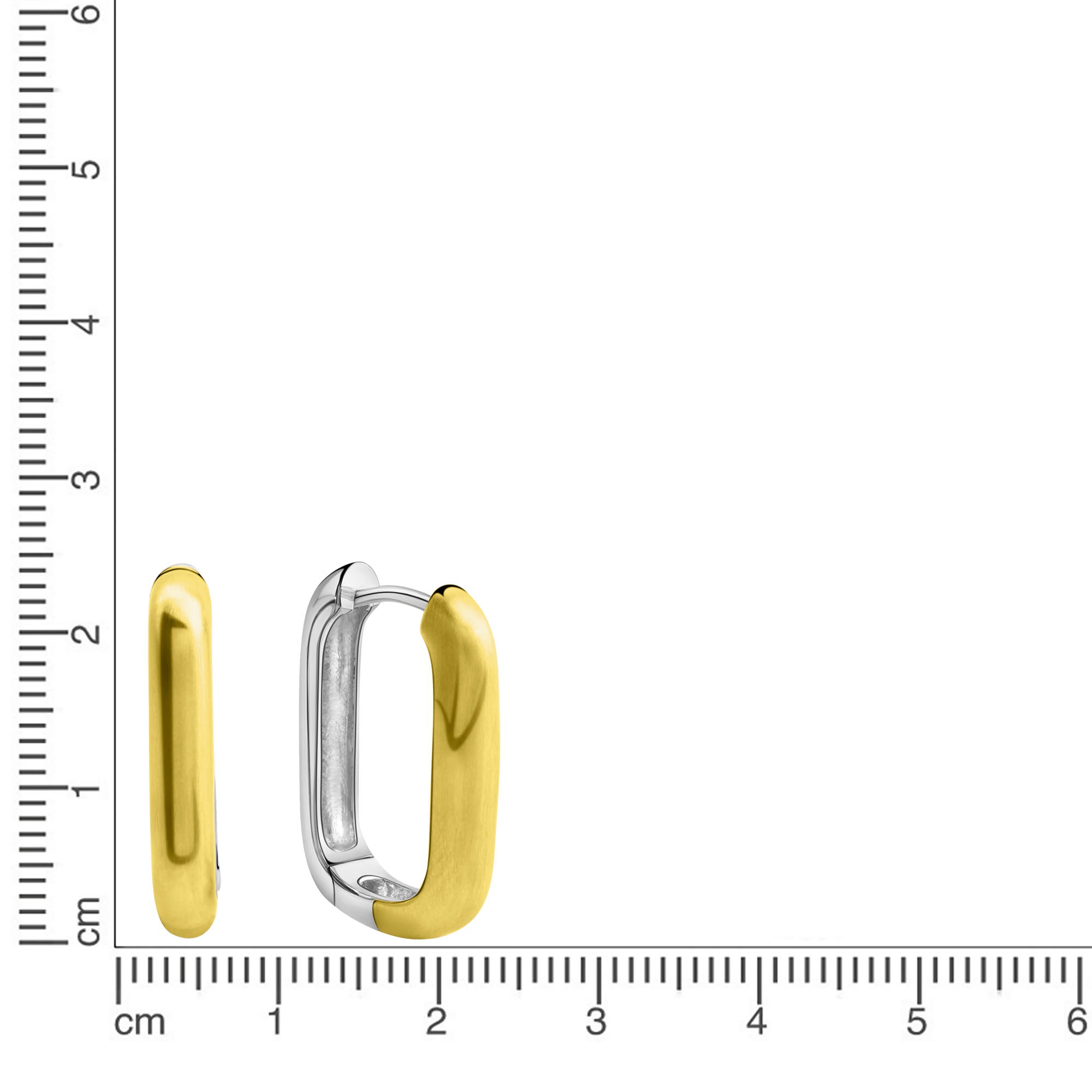 Firetti Paar Creolen »Schmuck Geschenk Silber 925 Ohrschmuck Ohrringe bicolor«
