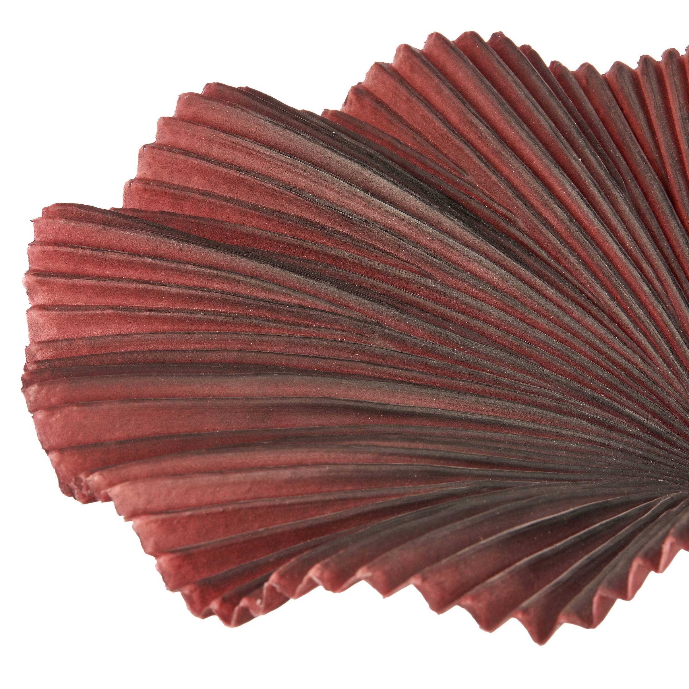 Creativ green Kunstpalme »Strahlenpalme« im modernen Design