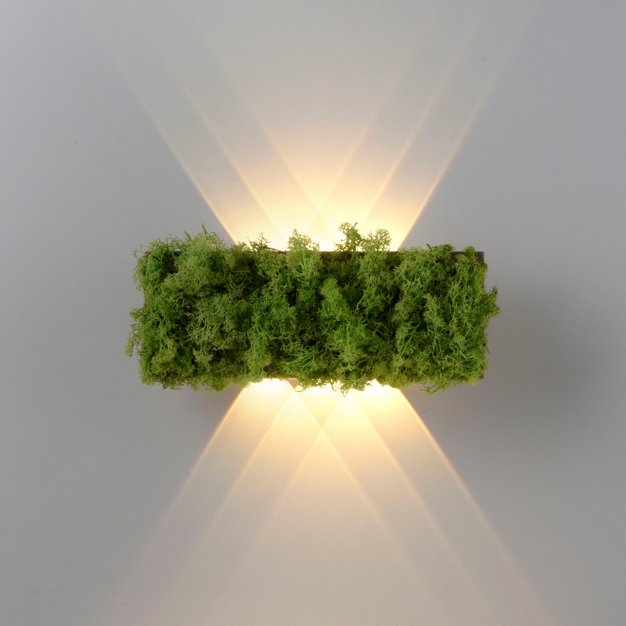 JUST LIGHT Wandleuchte »GREEN CARL«, 6 flammig