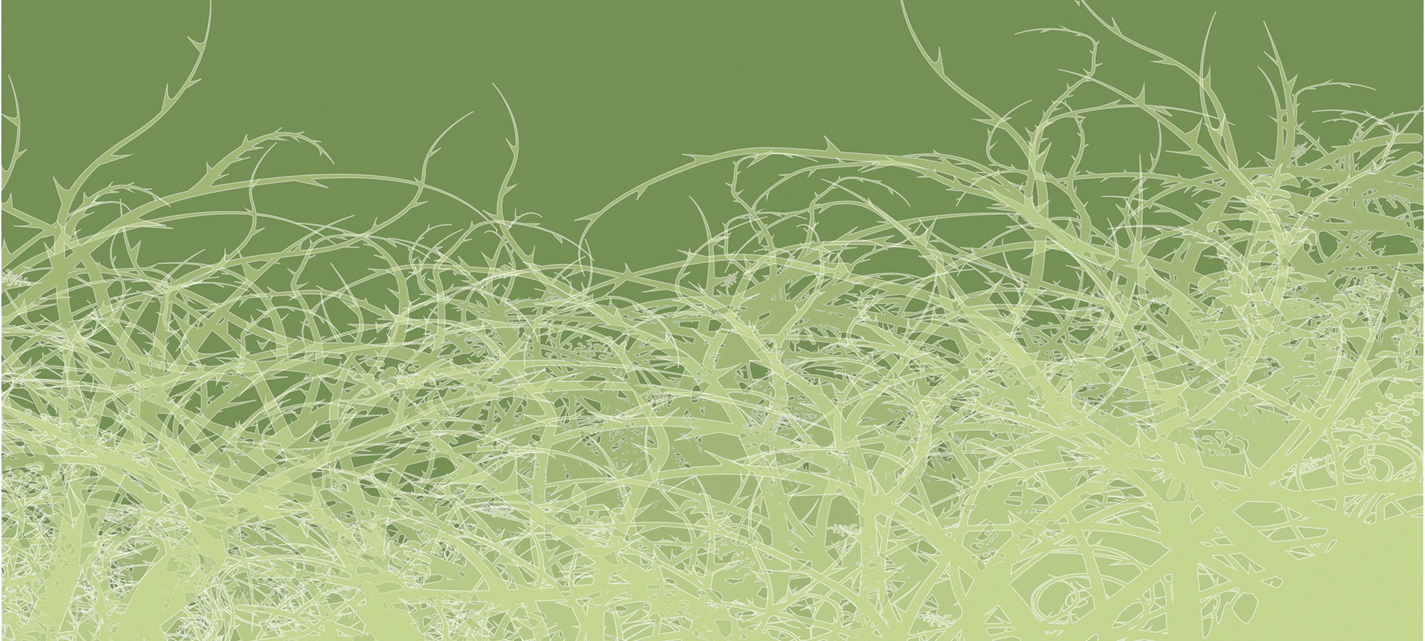 Architects Paper Fototapete »Atelier 47 Thorn Style 1« floral glatt Vlies, günstig online kaufen