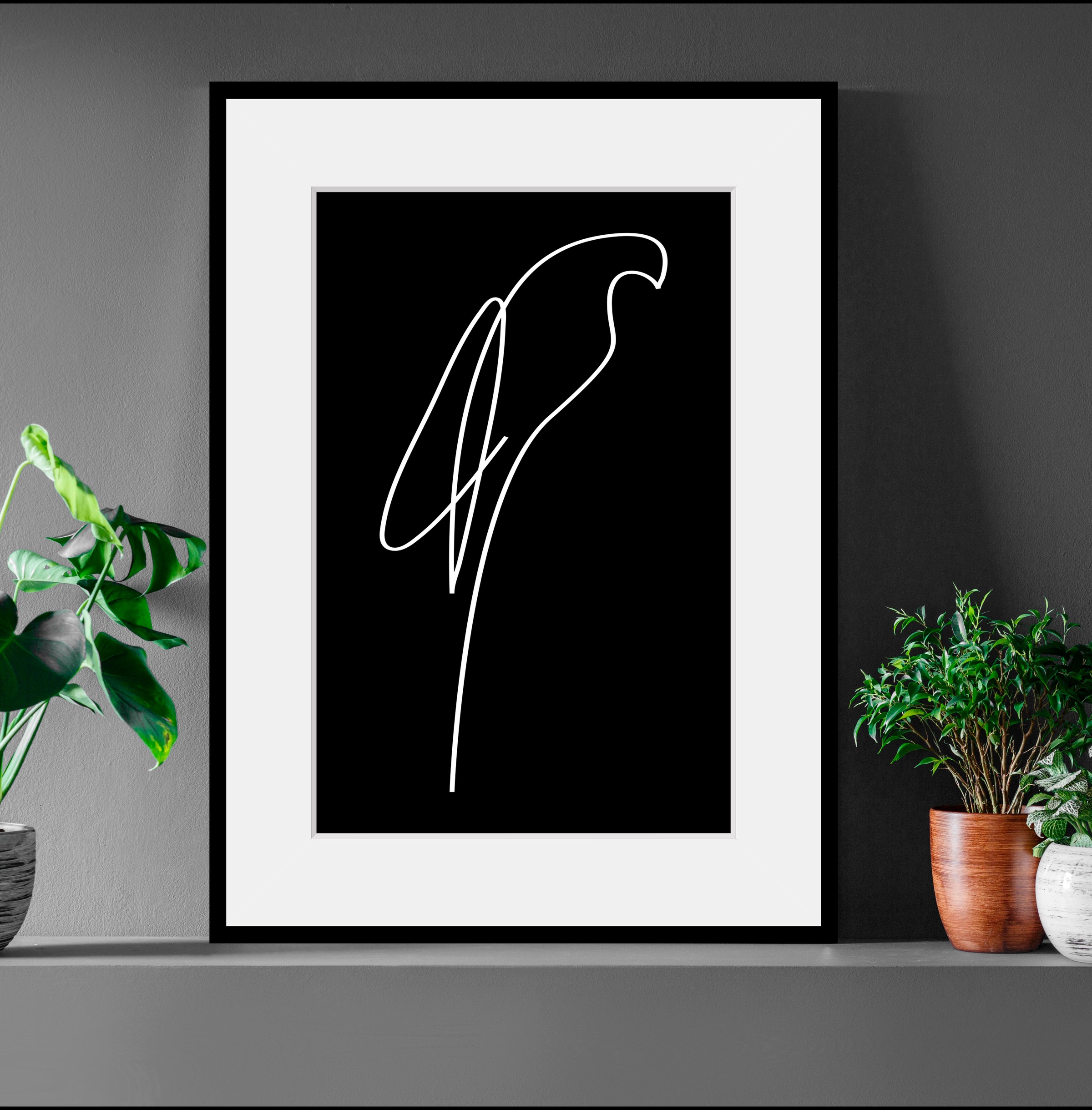 queence Bild »Julian«, Schwarz-Weiß-Kunst-Modern-Vögel-Vogelbilder-Papageie günstig online kaufen