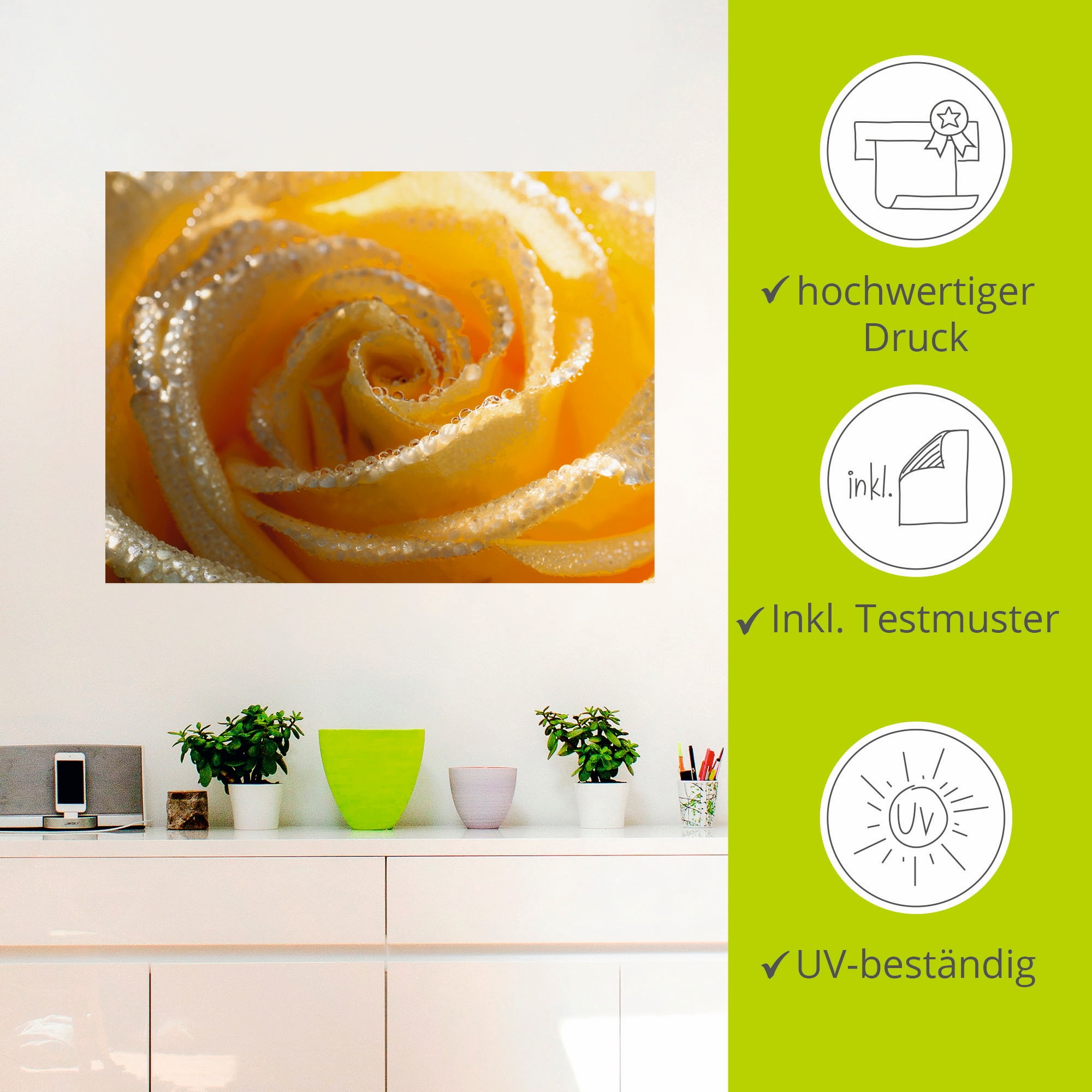 Artland Wandbild »Gelbe Rose Makro«, Blumen, (1 St.), als Leinwandbild, Wandaufkleber in verschied. Größen
