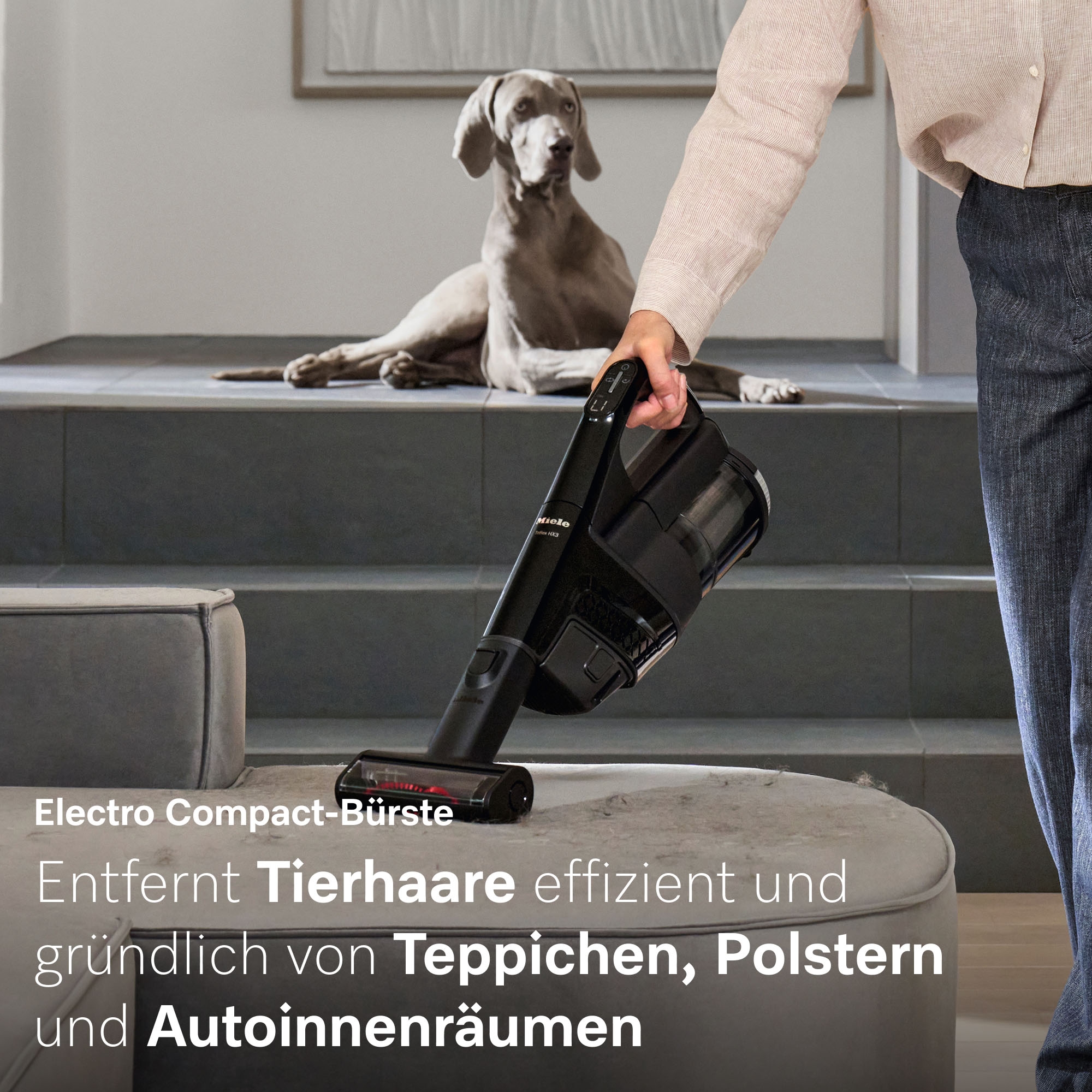 Miele Akku-Stielstaubsauger »Triflex HX3 Cat & Dog«