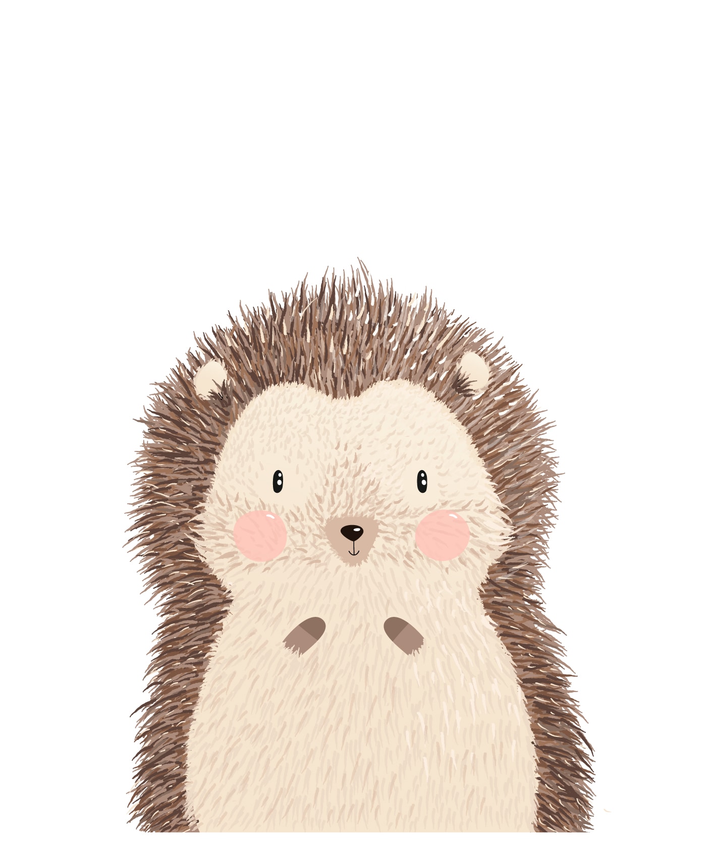 Lüttenhütt Poster »Niedlicher Igel«, Tiere, (1 St.), HD Premium Druck günstig online kaufen