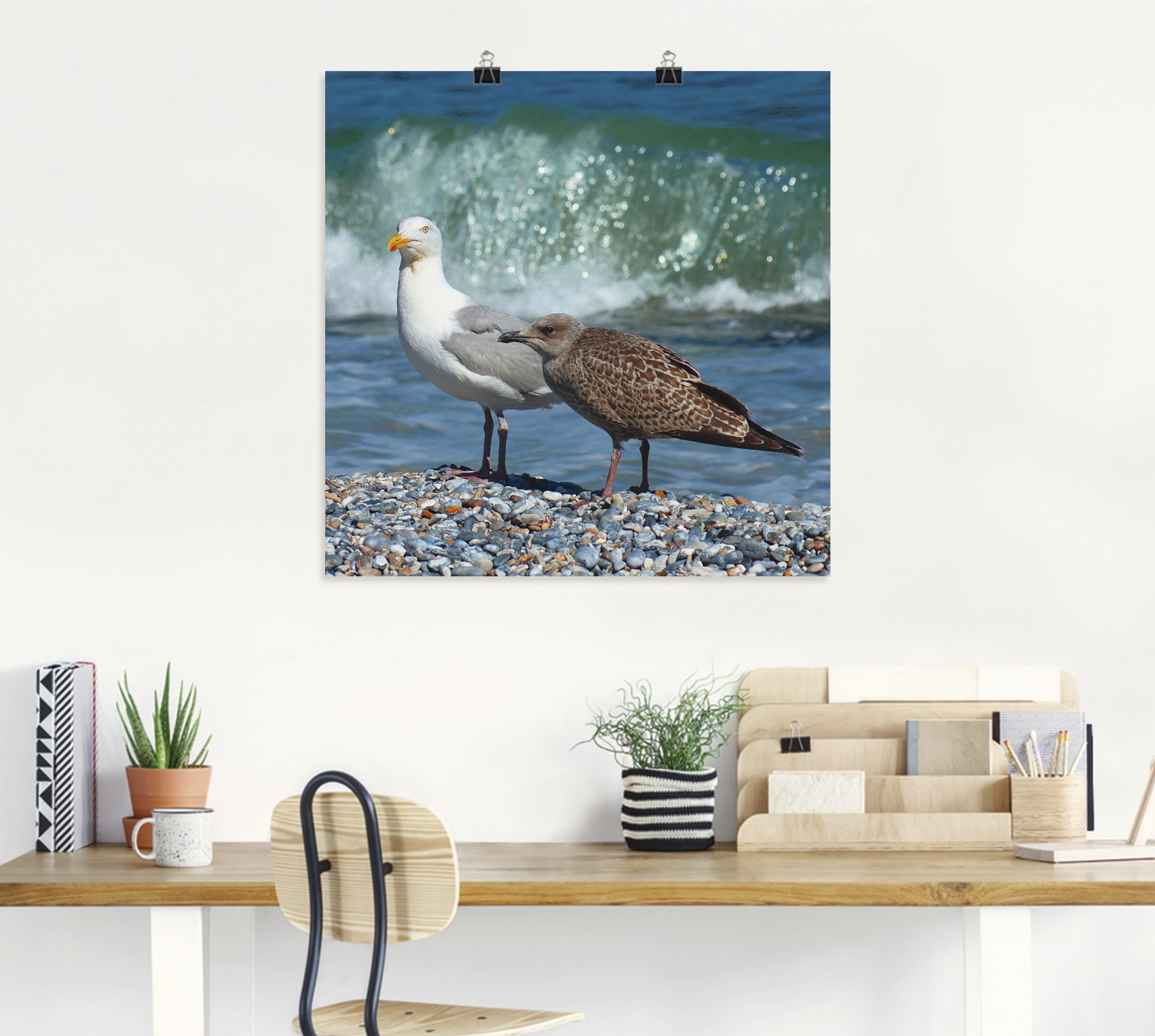 Artland Wandbild »Möwen in der Meeresbrandung«, Vögel, (1 St.), als Poster, Wandaufkleber in verschied. Größen