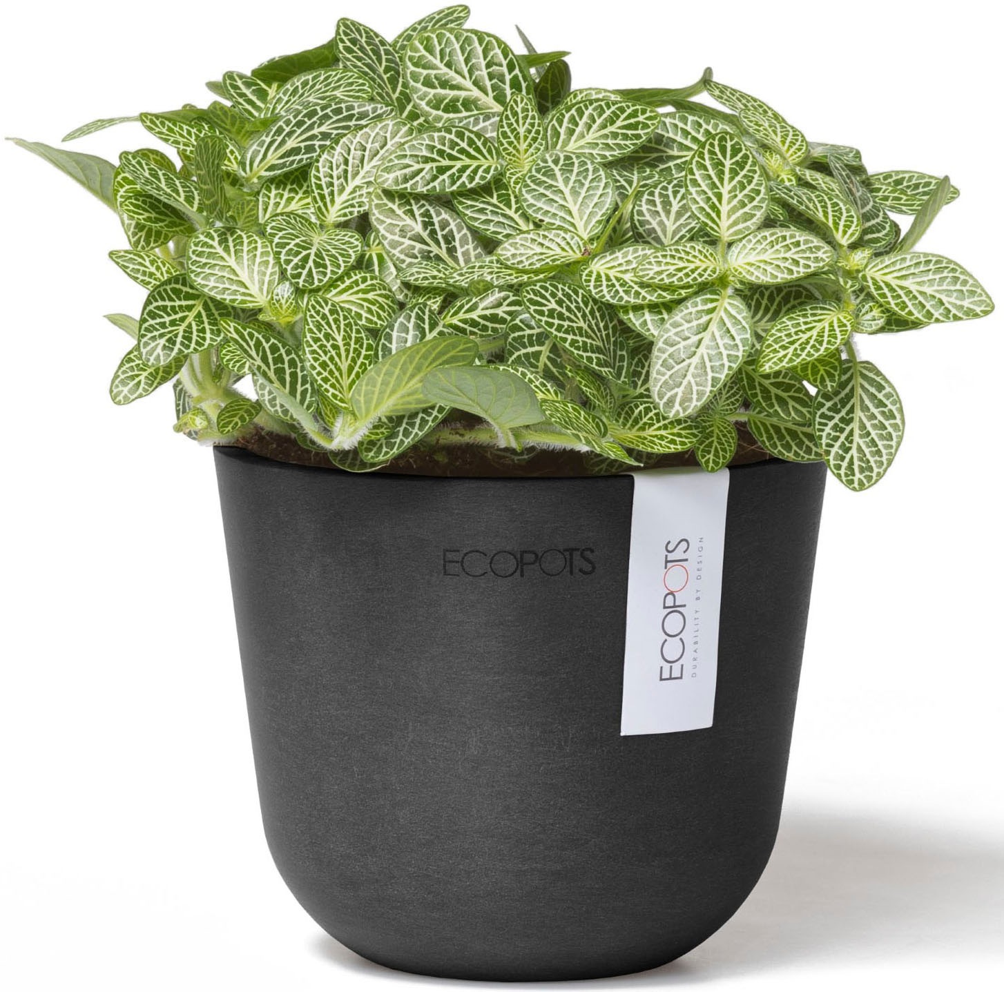 ECOPOTS Blumentopf »Oslo Mini 11,5 Dunkelgrau« für den Innenbereich
