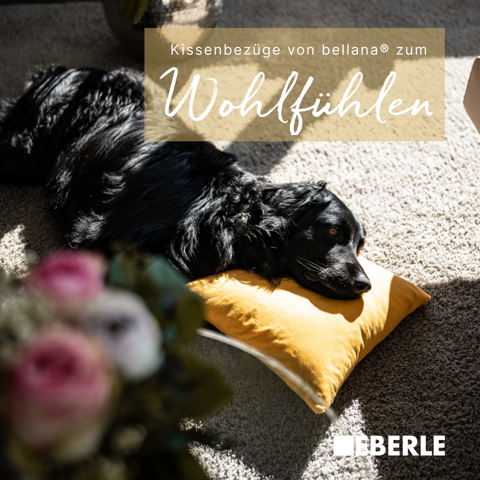 bellana Kissenbezug »Mako-Jersey-Exclusiv«, (2 St.), aus reiner Baumwolle