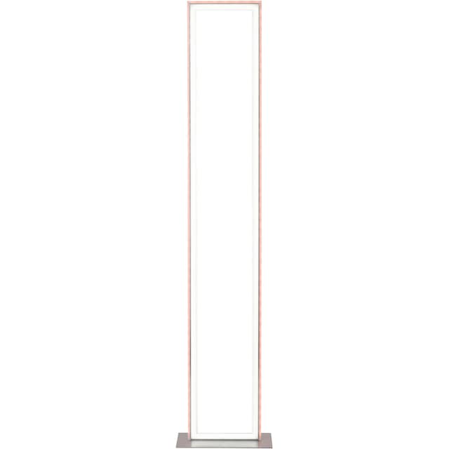 my home LED Stehlampe »Luan«, 2 flammig-flammig, Downlight: 2700-5000K,  Sidelight: Rainbow-RGB, Infrarot-Fernbed. inkl. auf Rechnung bestellen
